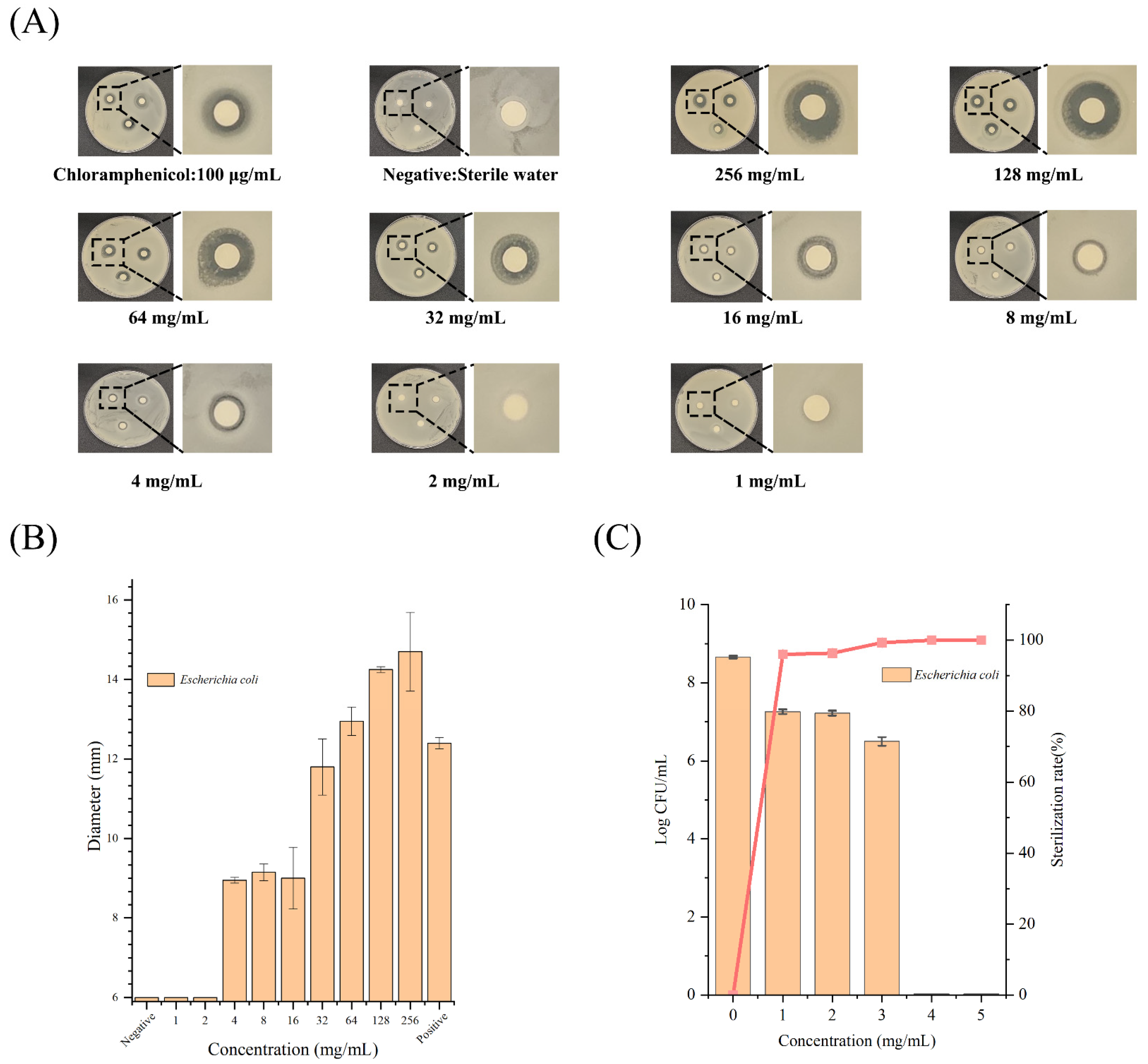 Ijms 24 11469 g002 Ijms 24 11469 g002