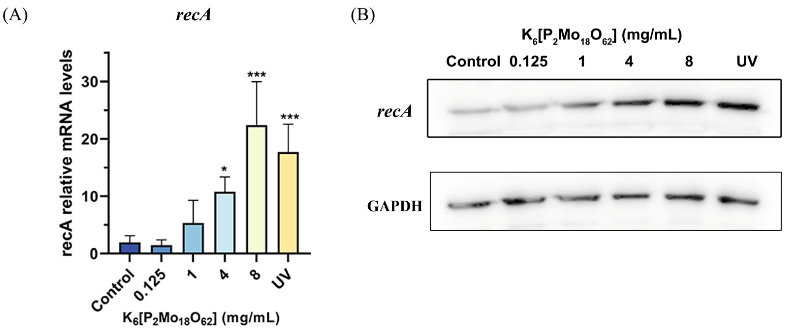 Ijms 24 11469 g004 Ijms 24 11469 g004