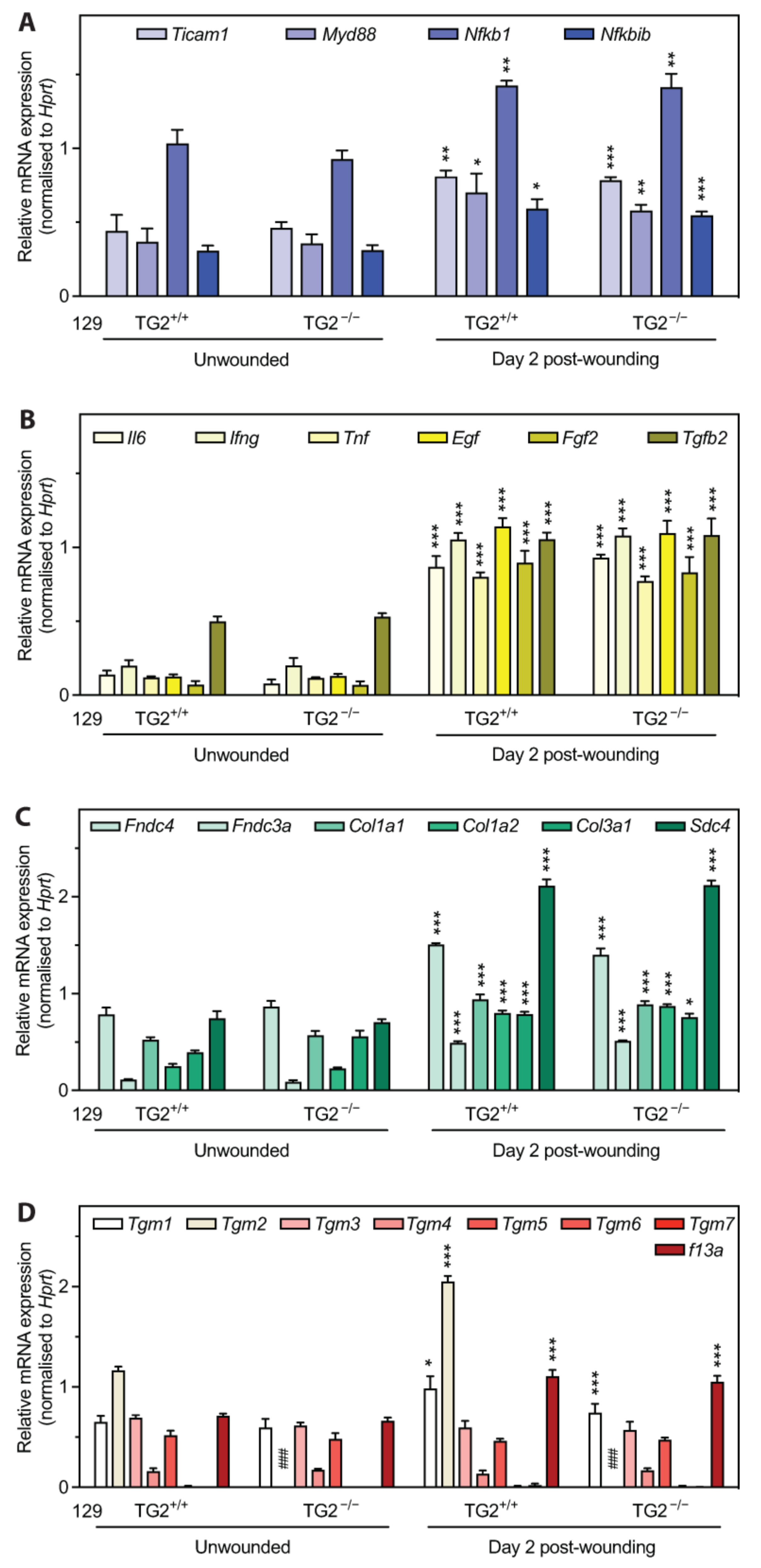 Ijms 24 11475 g004 Ijms 24 11475 g004