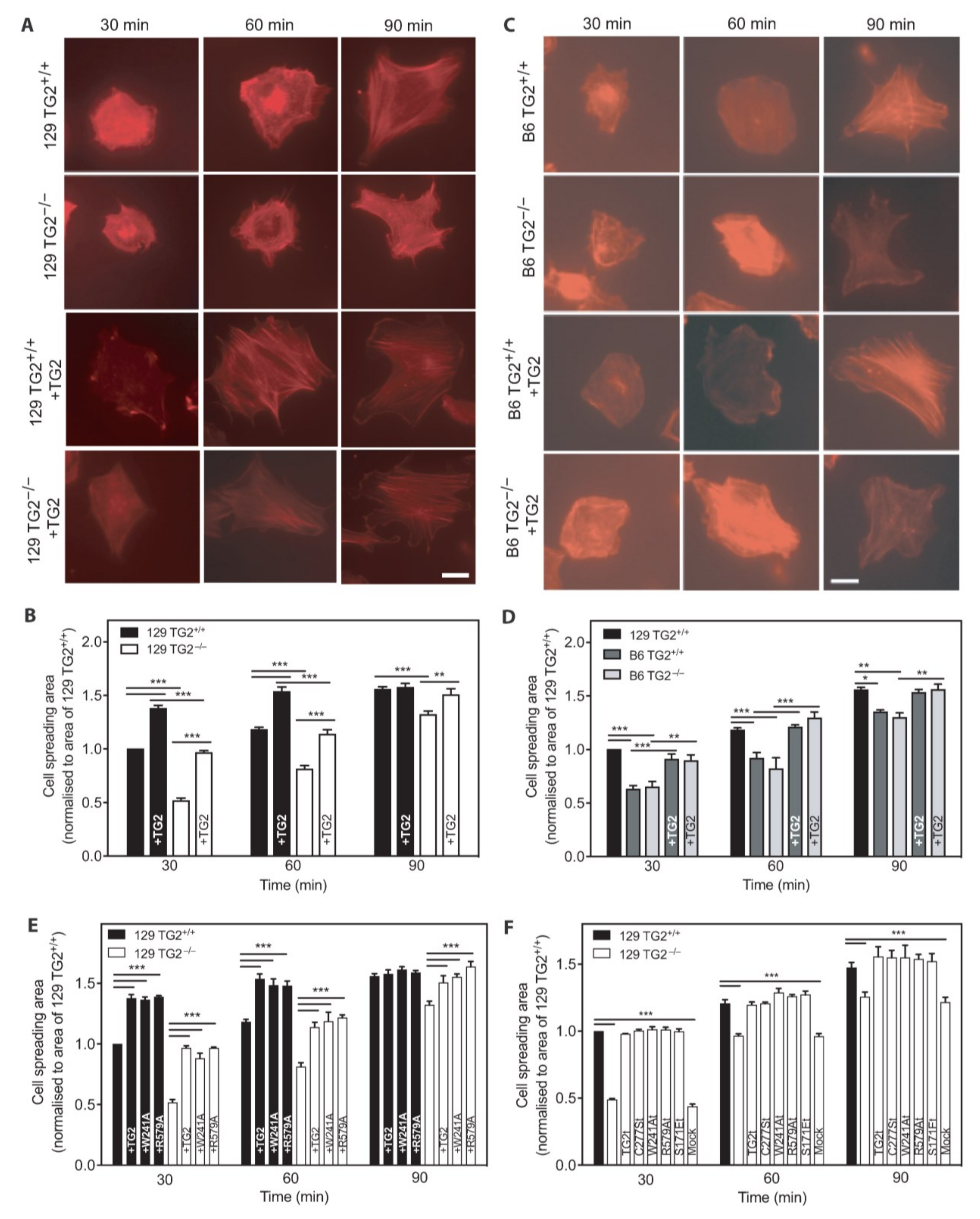 Ijms 24 11475 g009 Ijms 24 11475 g009