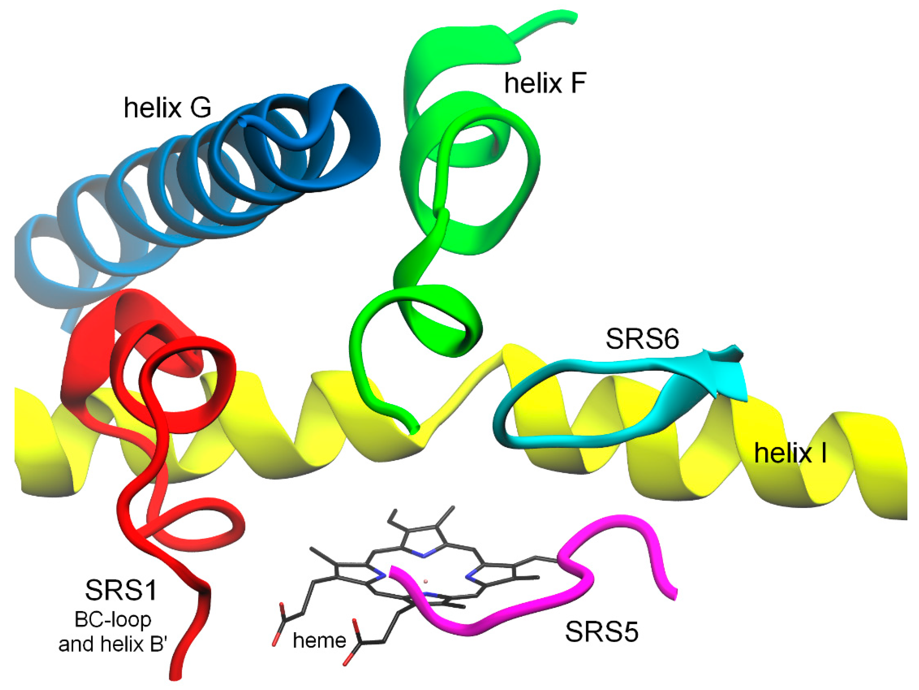 Ijms 24 11481 g001 Ijms 24 11481 g001