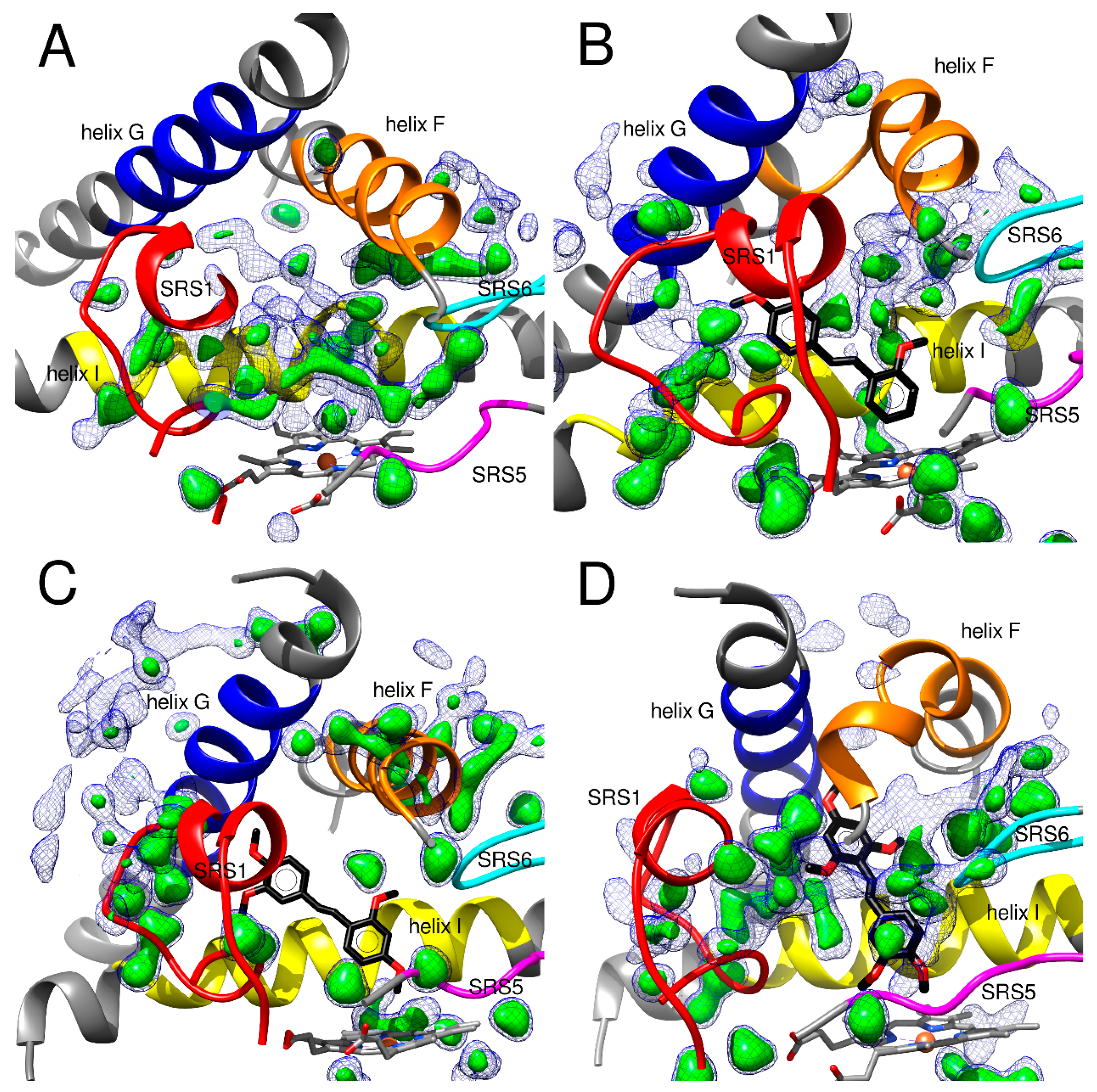 Ijms 24 11481 g003 Ijms 24 11481 g003