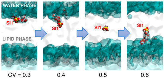 Physico-Chemical Approaches to Investigate Surface Hydroxyls