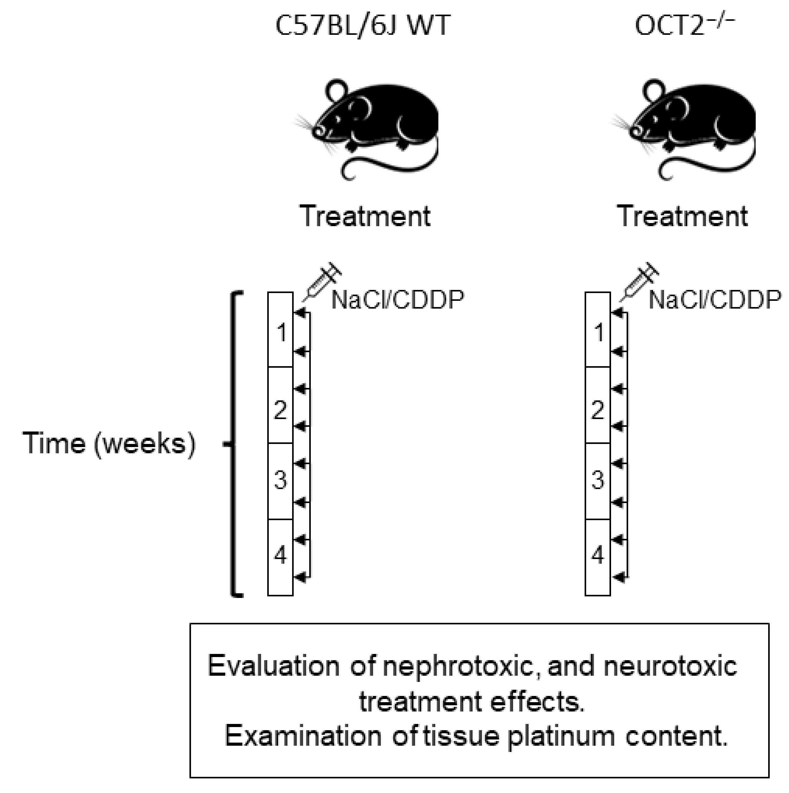 Ijms 24 11486 g001 Ijms 24 11486 g001