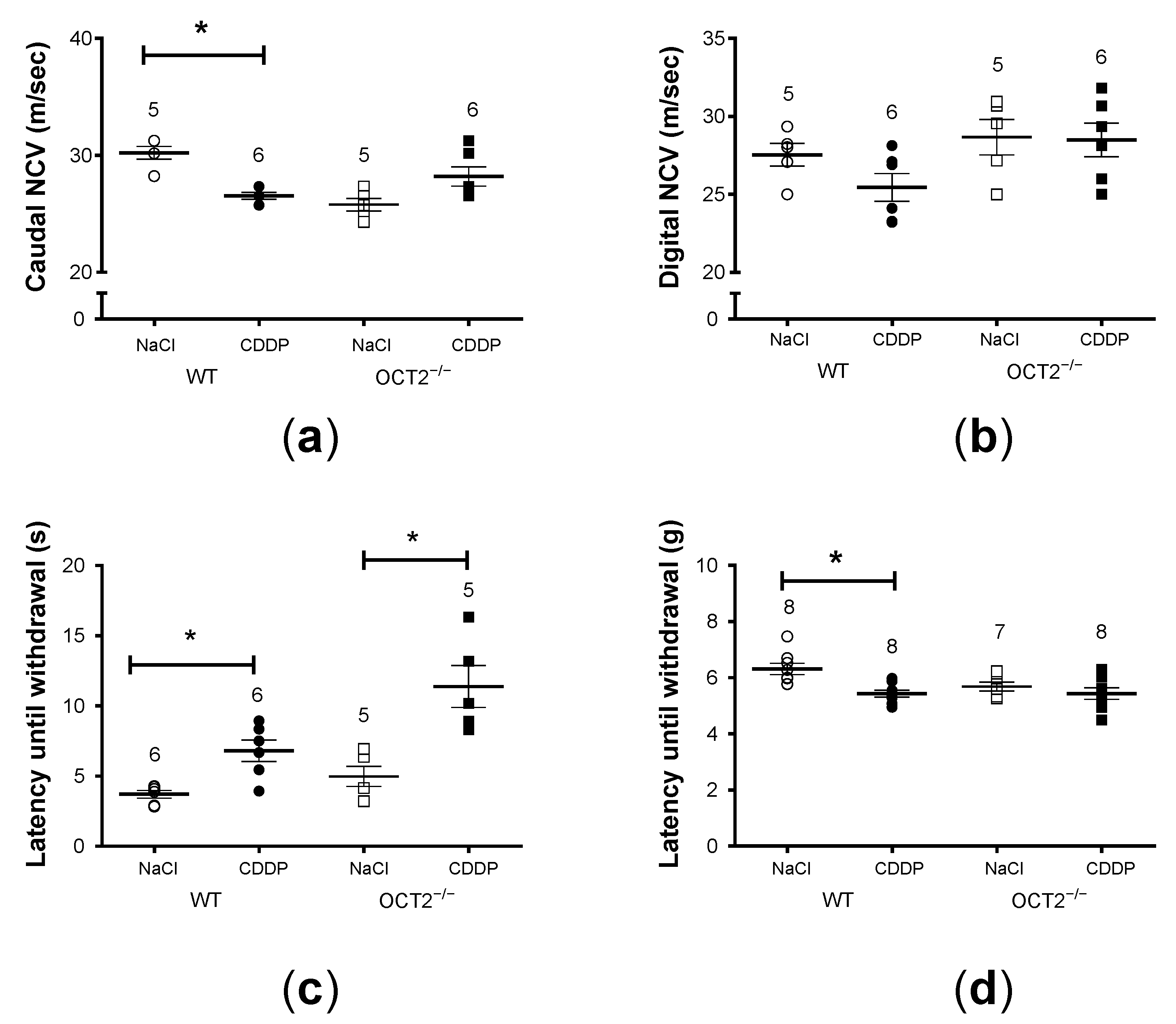Ijms 24 11486 g005 Ijms 24 11486 g005