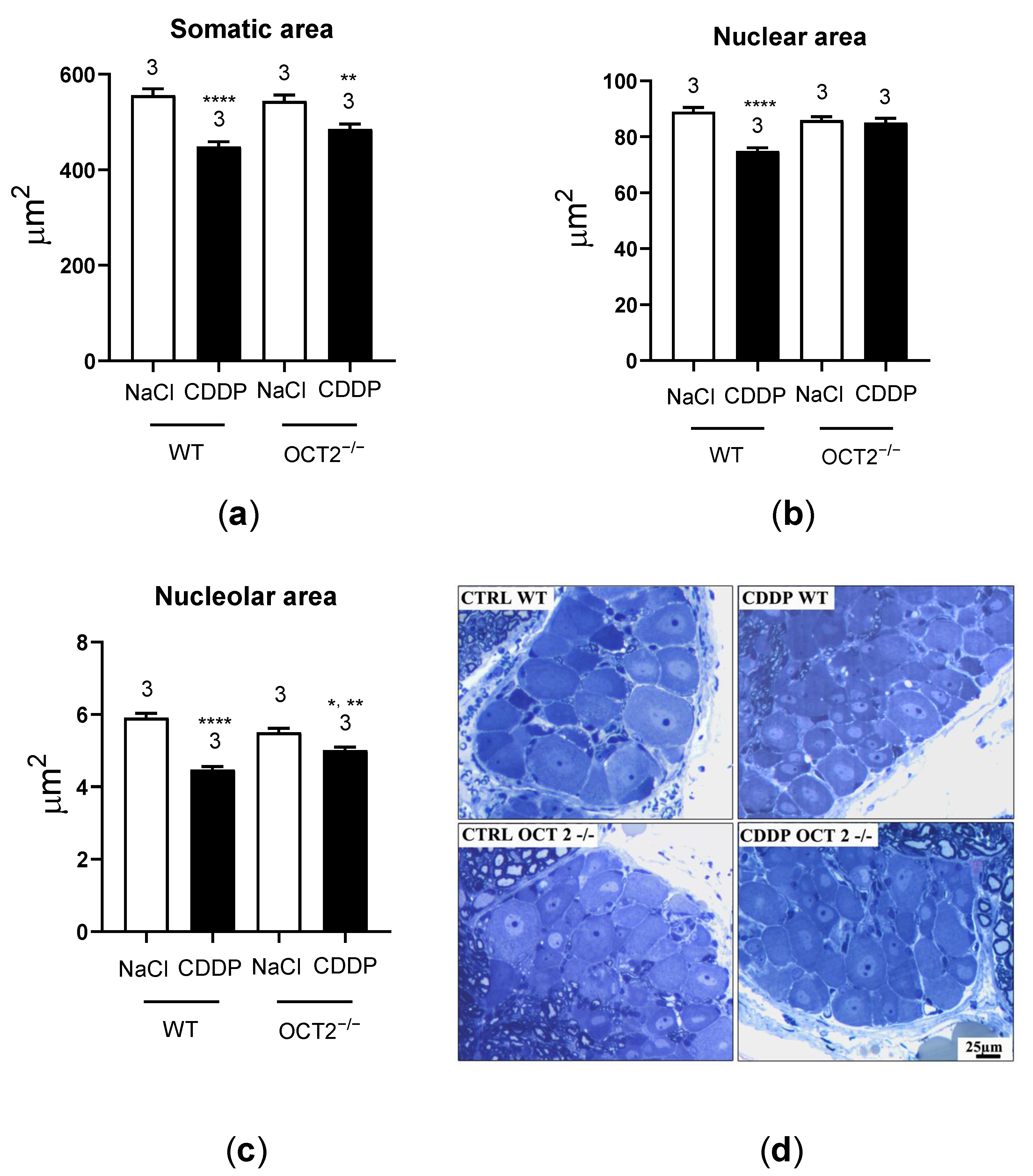 Ijms 24 11486 g006 Ijms 24 11486 g006
