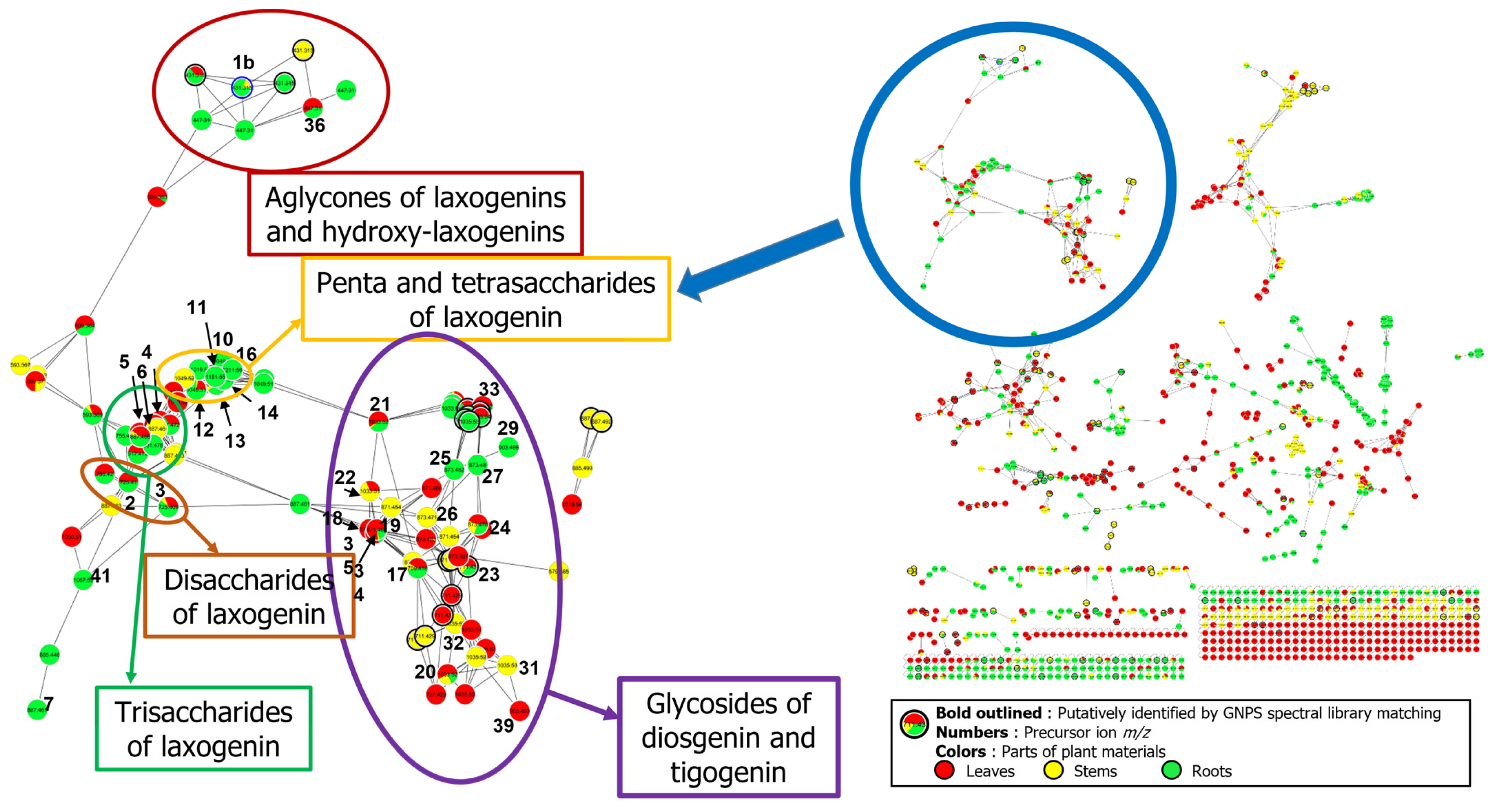 Ijms 24 11487 g002 Ijms 24 11487 g002