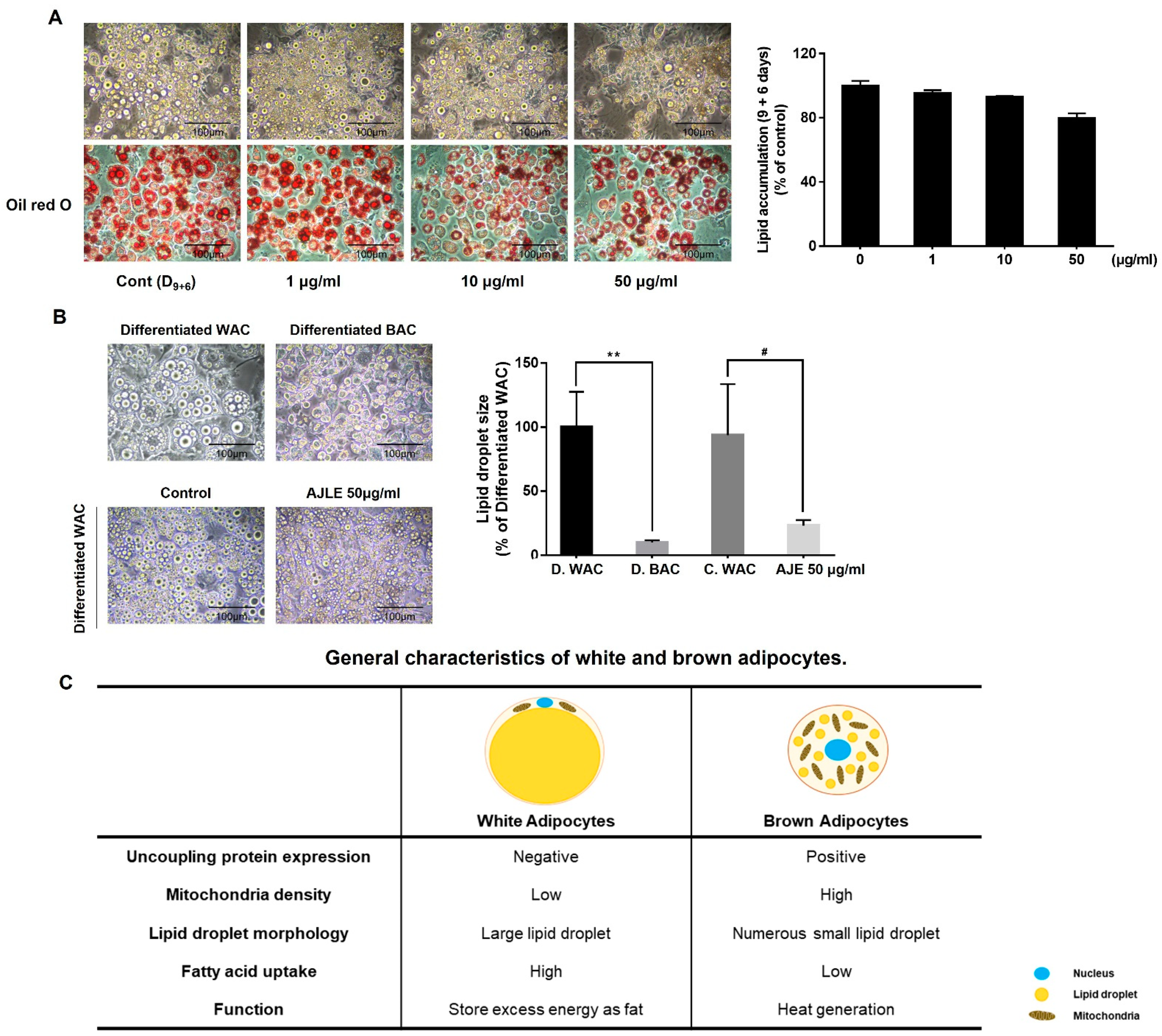 Ijms 24 11496 g002 Ijms 24 11496 g002