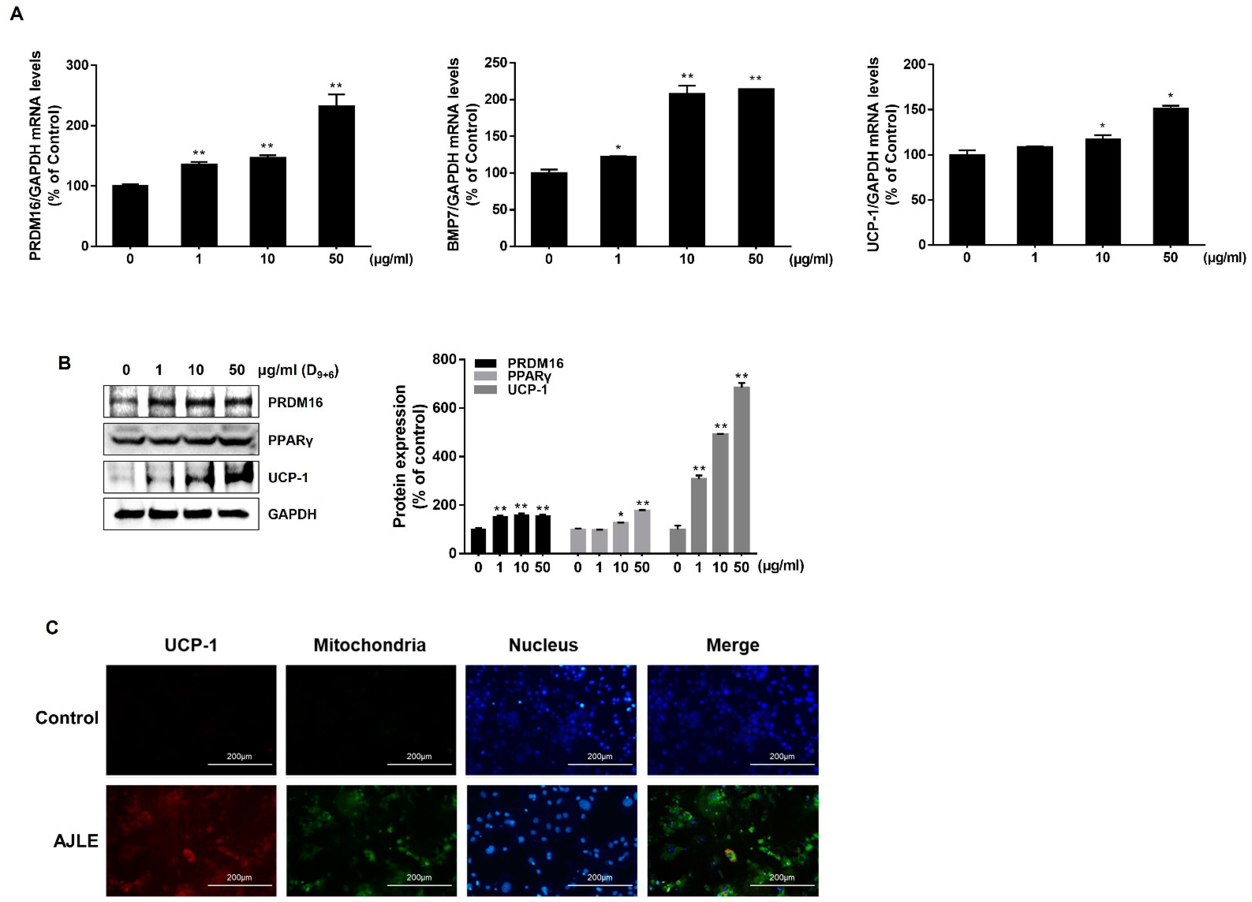 Ijms 24 11496 g004 Ijms 24 11496 g004