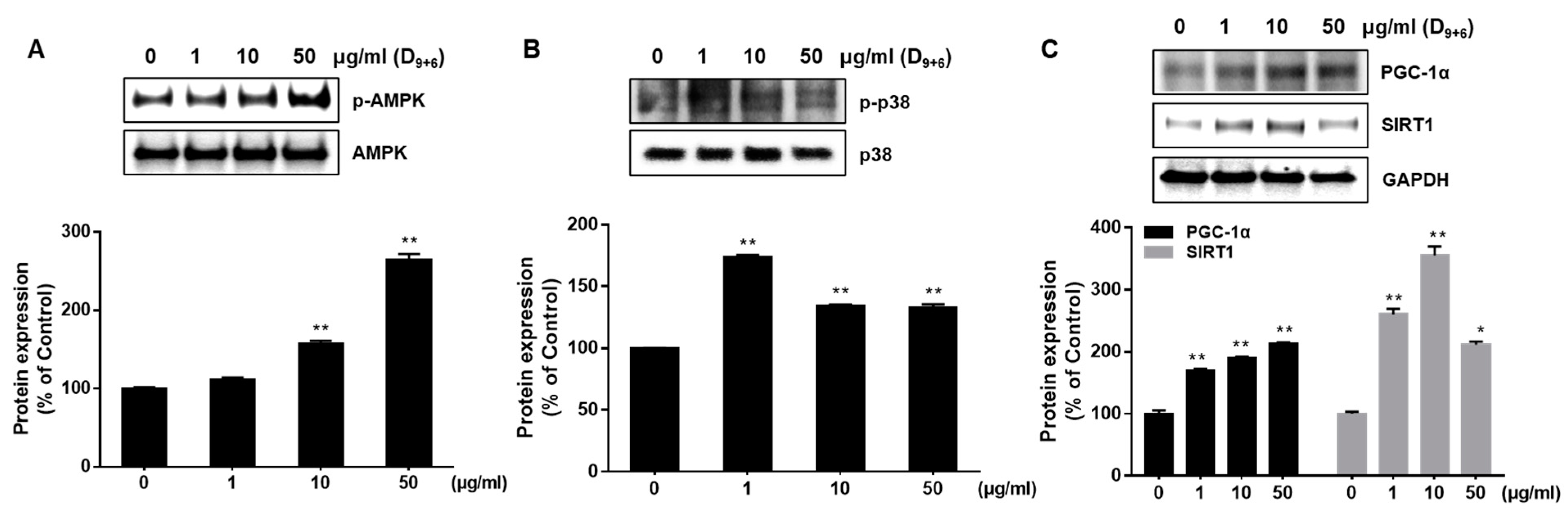 Ijms 24 11496 g005 Ijms 24 11496 g005