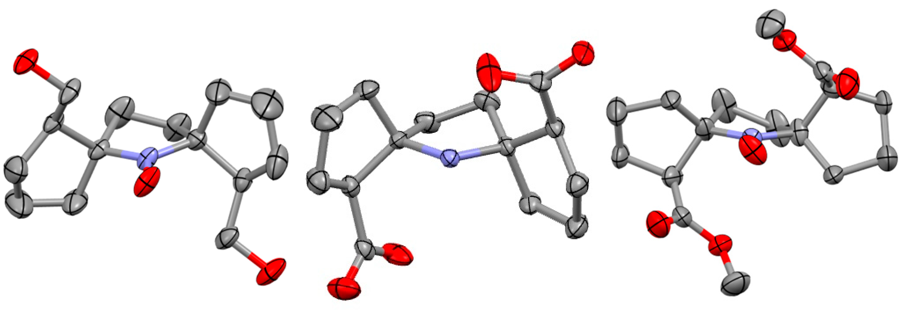 Ijms 24 11498 g004 Ijms 24 11498 g004