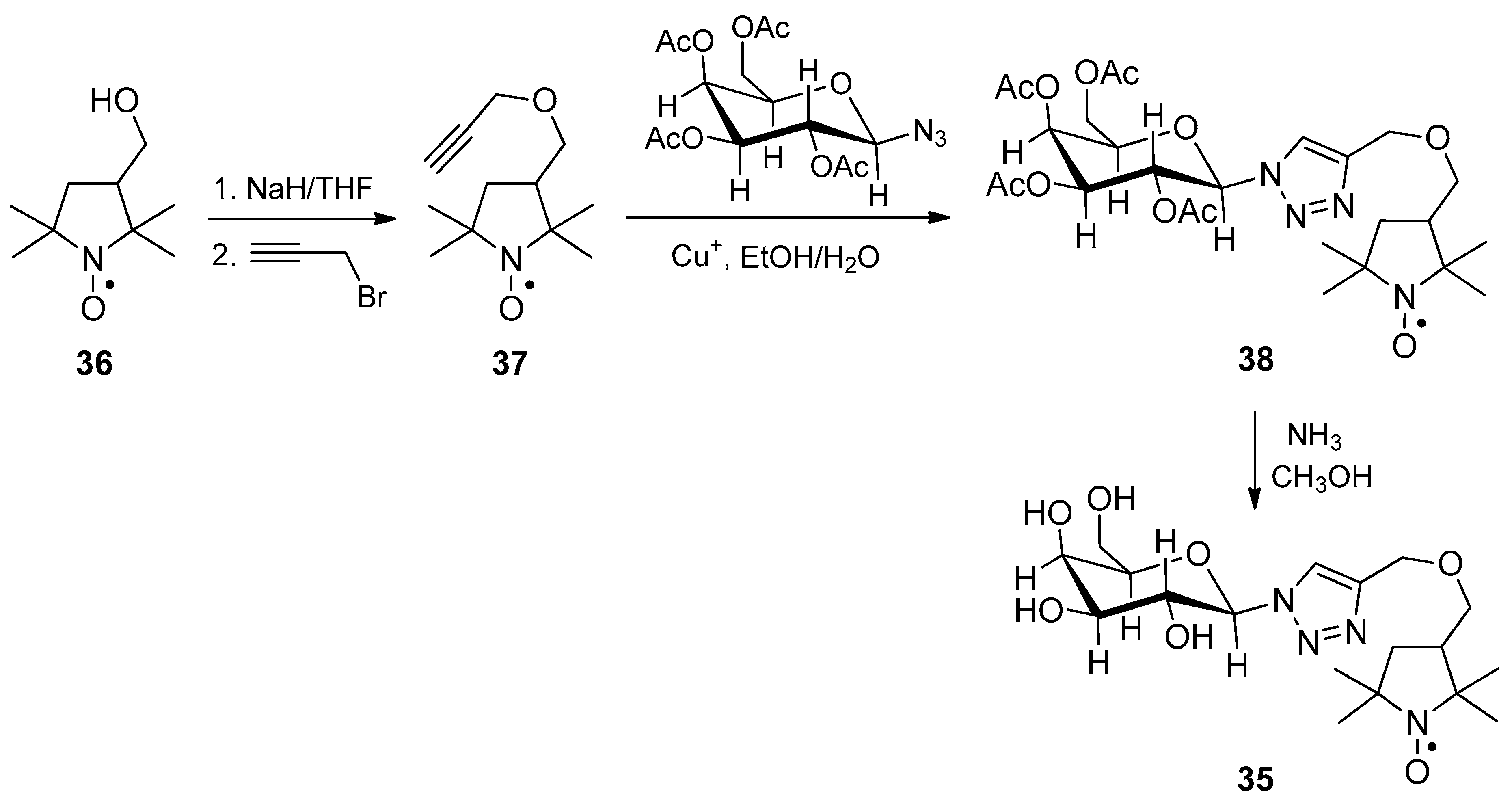 Ijms 24 11498 sch009 Ijms 24 11498 sch009