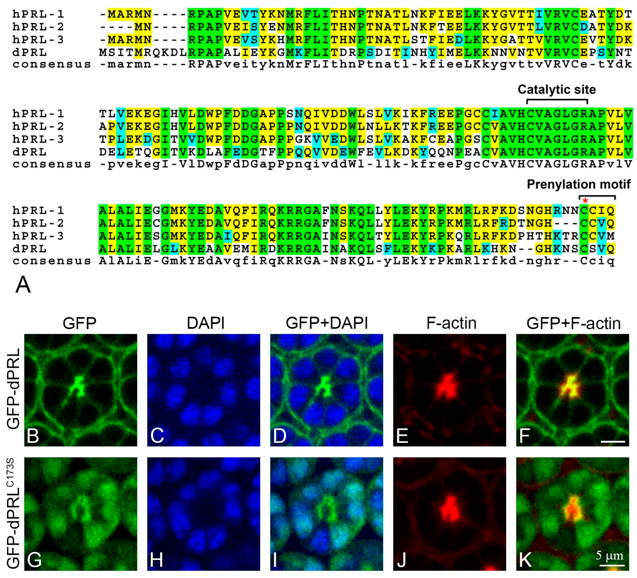 Ijms 24 11501 g002 Ijms 24 11501 g002