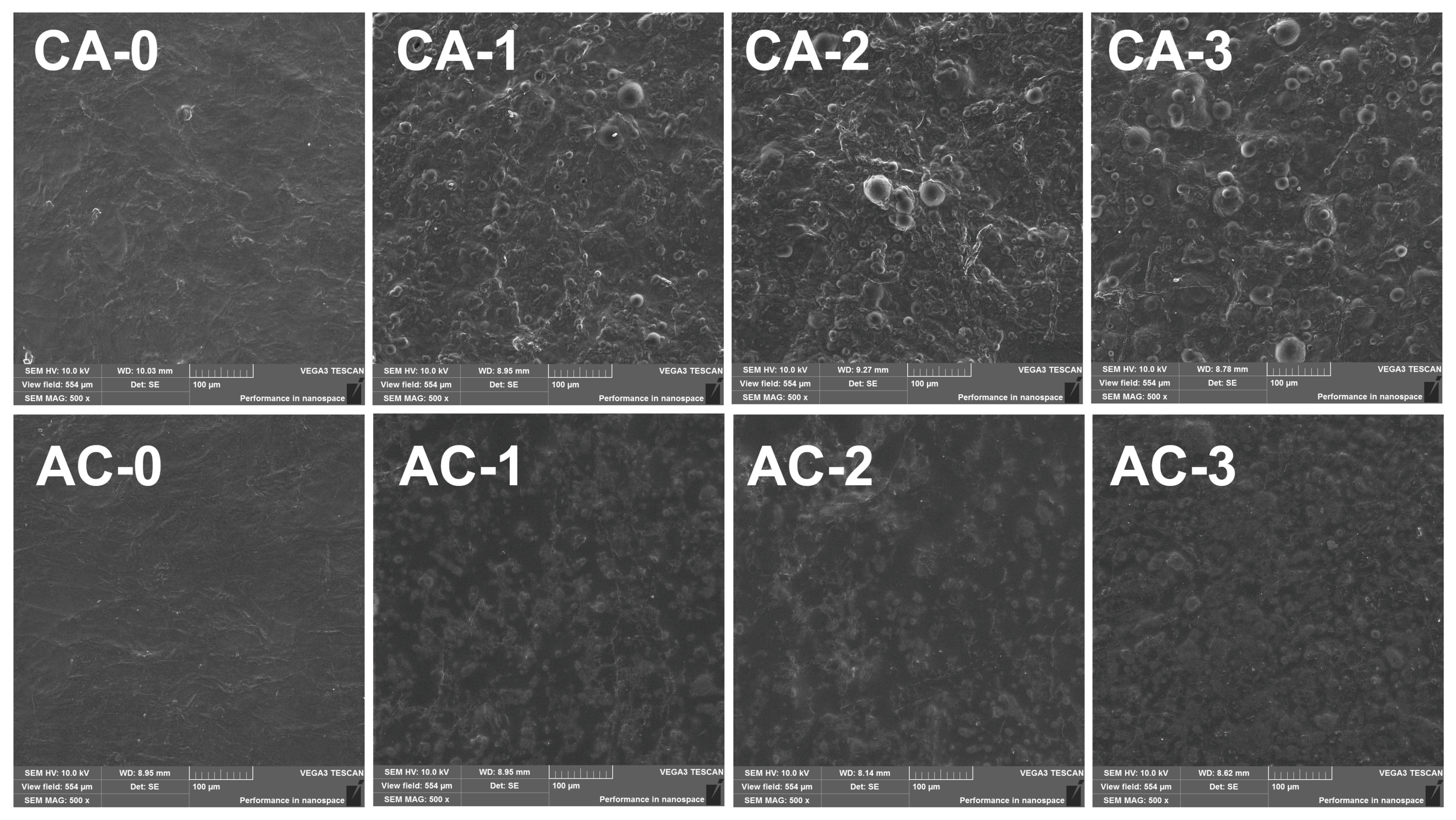 Ijms 24 11502 g004 Ijms 24 11502 g004