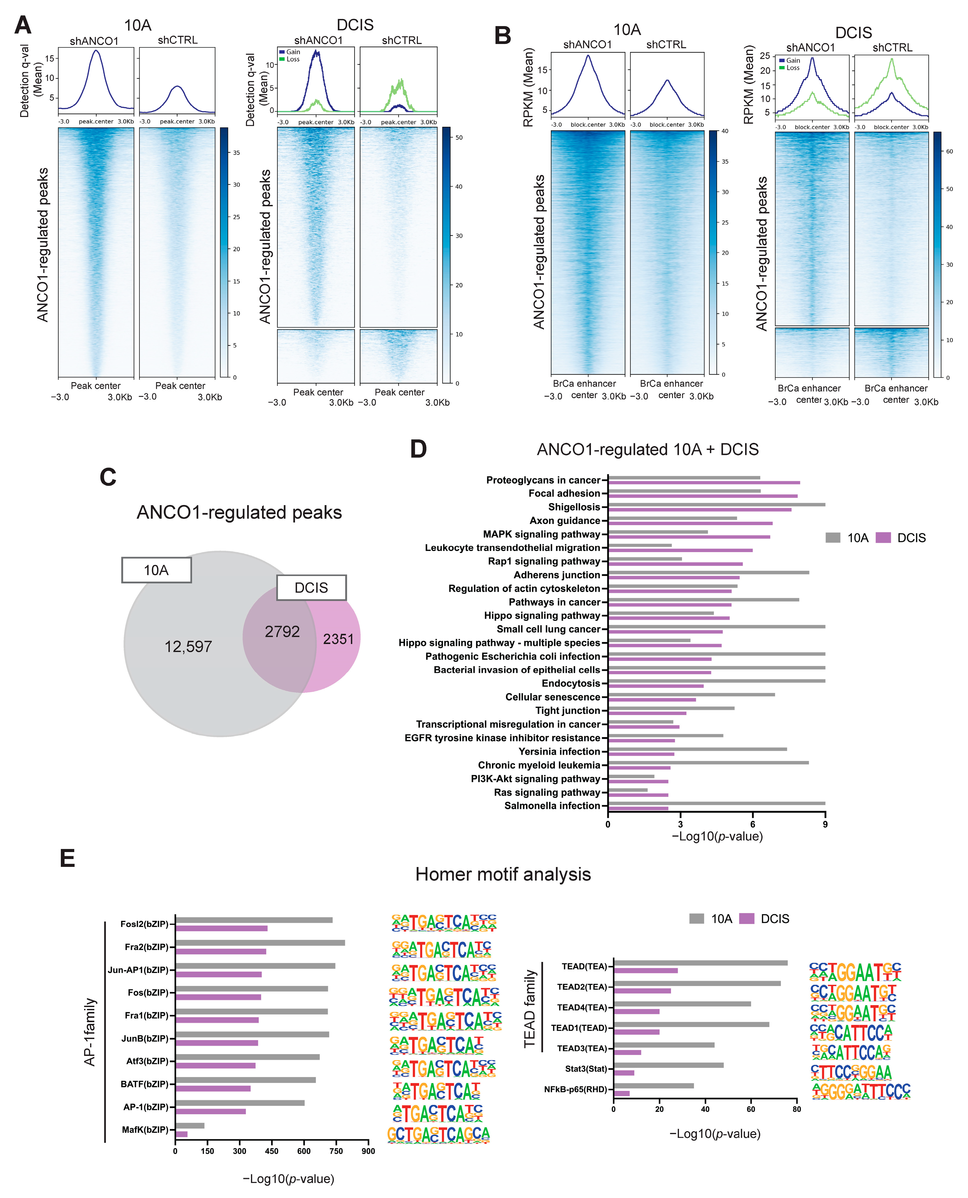 Ijms 24 11505 g004 Ijms 24 11505 g004