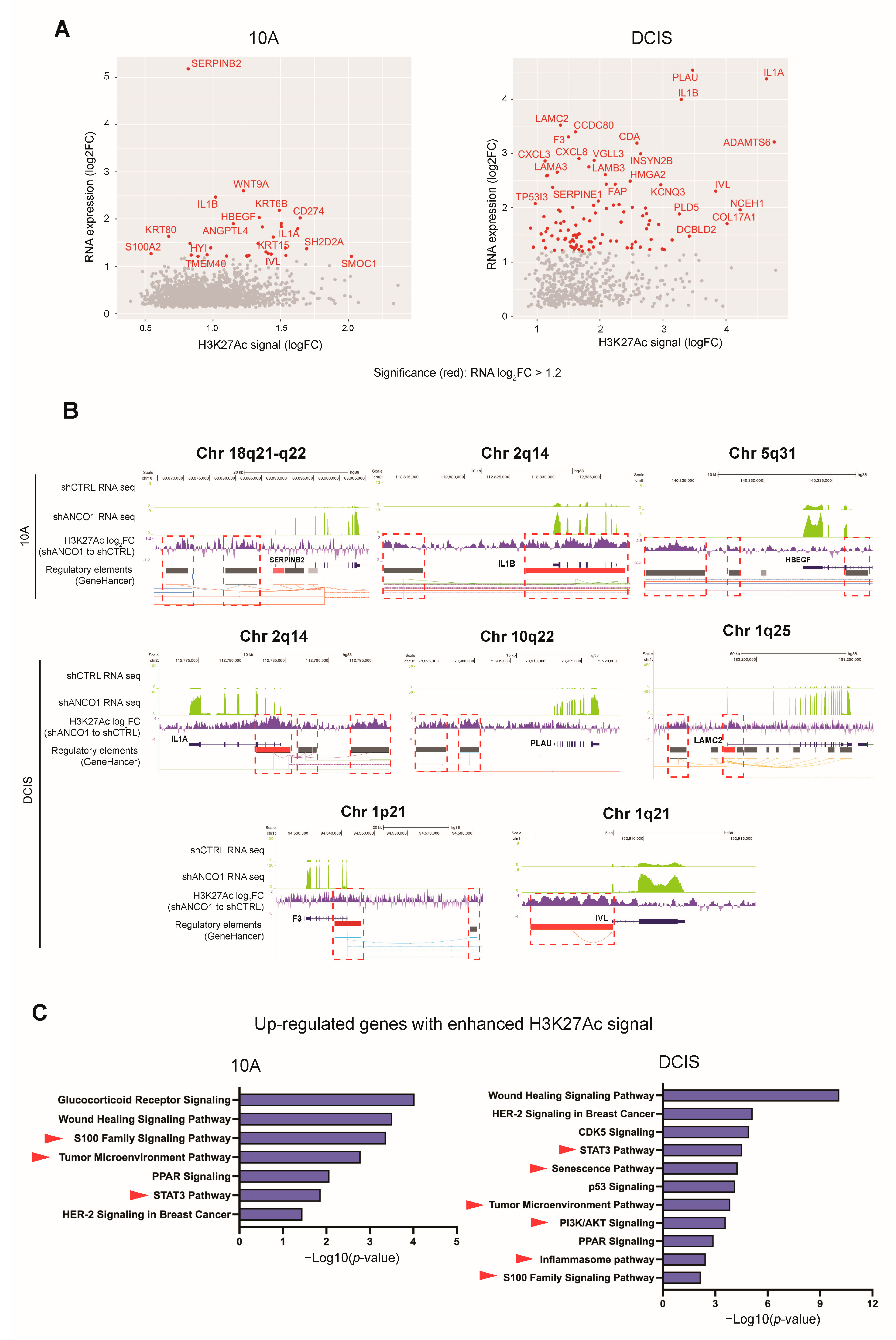 Ijms 24 11505 g005 Ijms 24 11505 g005