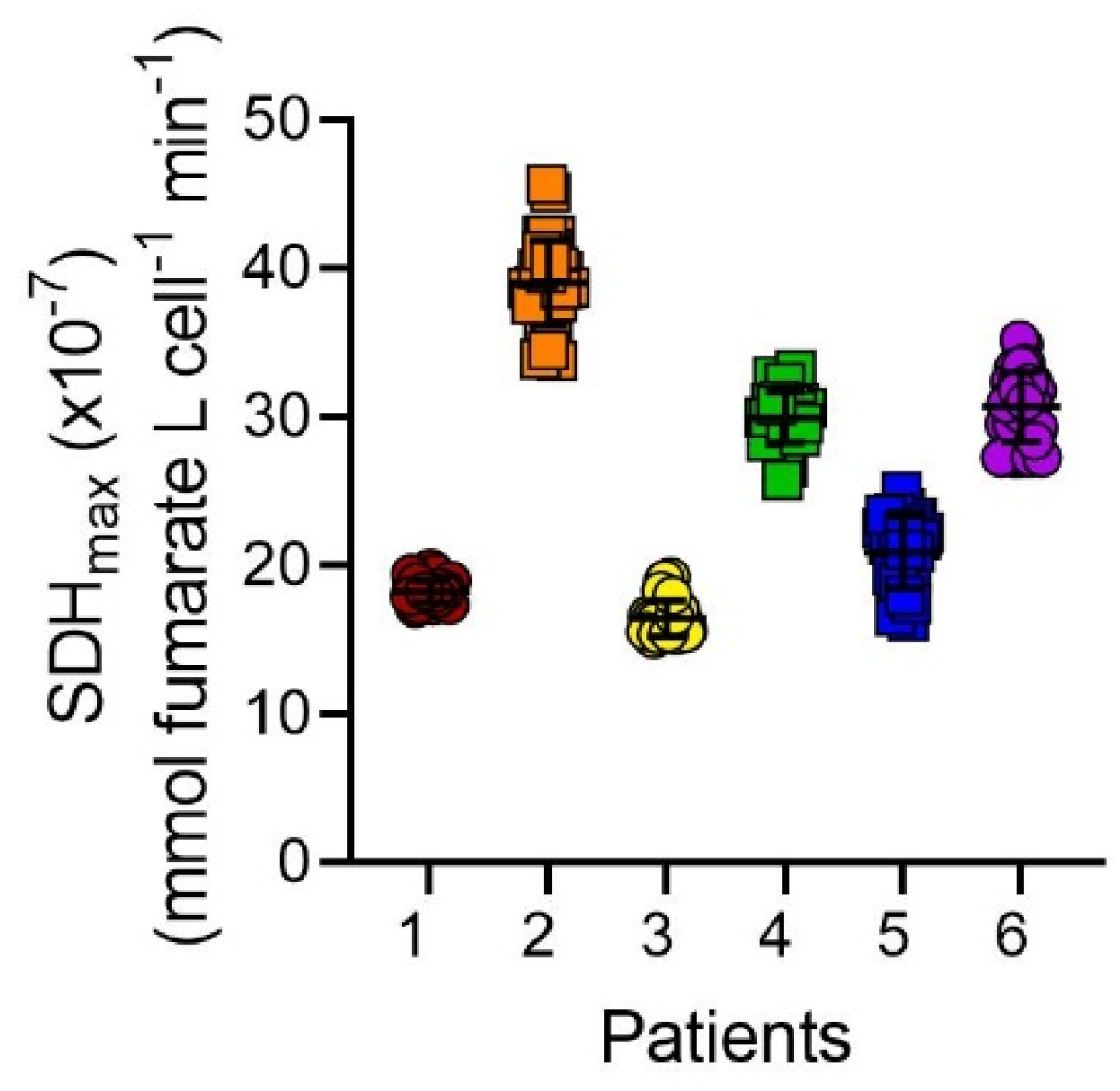 Ijms 24 11506 g005 Ijms 24 11506 g005