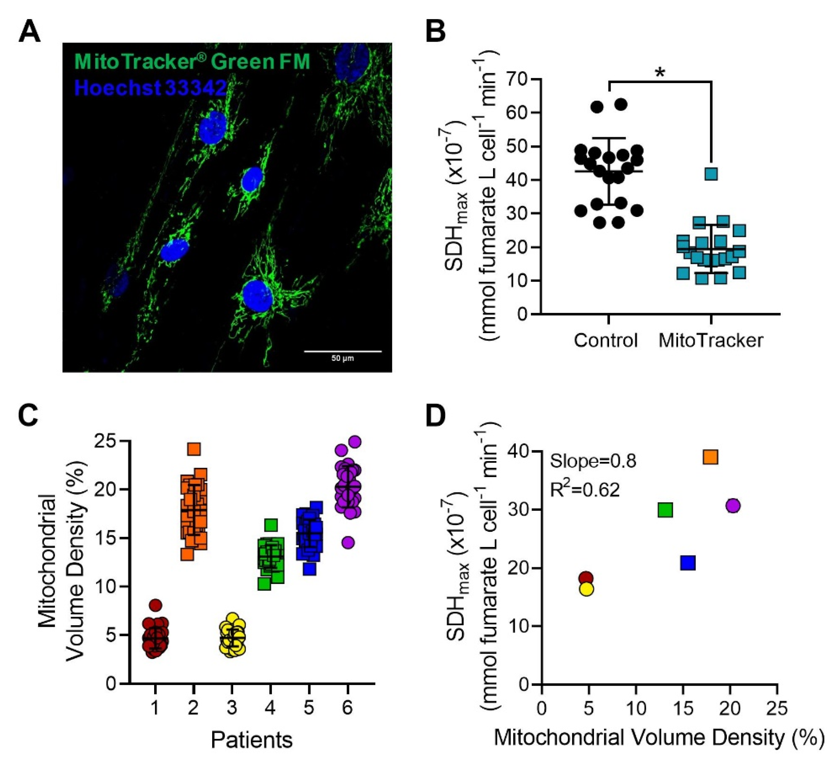 Ijms 24 11506 g006 Ijms 24 11506 g006
