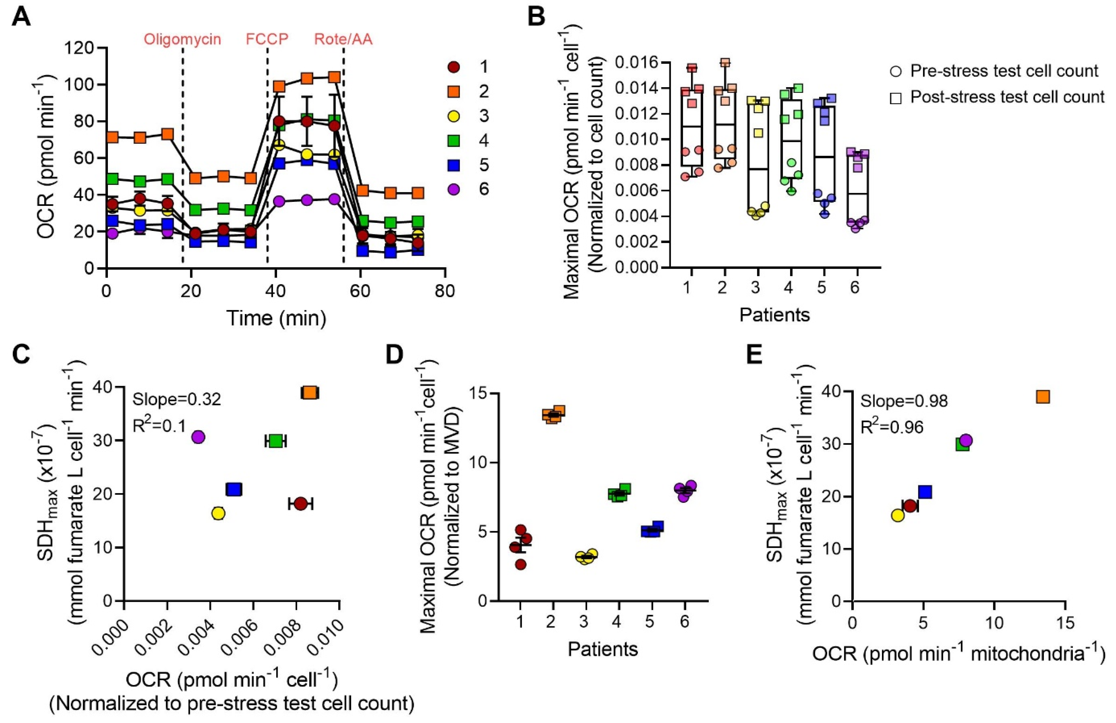 Ijms 24 11506 g008 Ijms 24 11506 g008