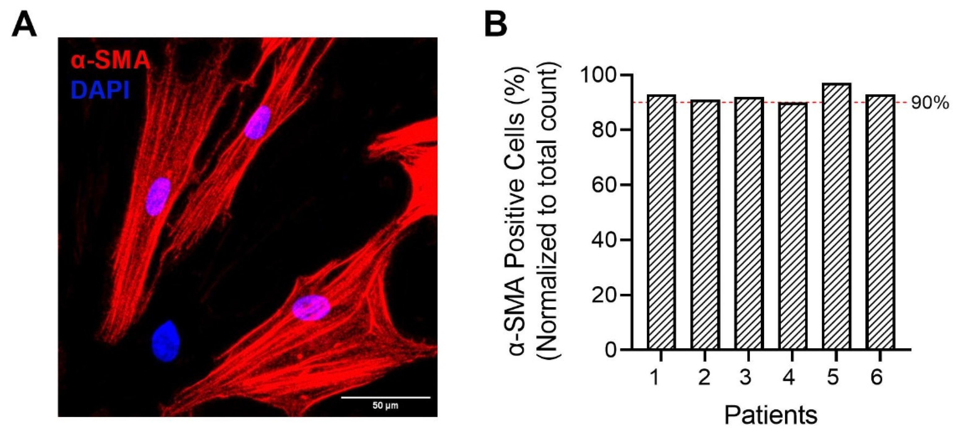 Ijms 24 11506 g009 Ijms 24 11506 g009