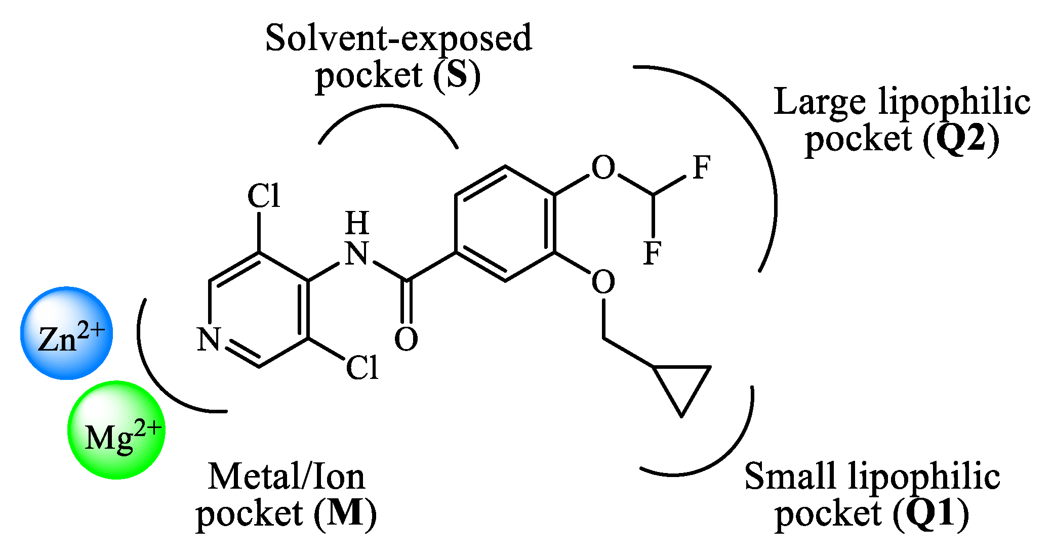 PDE4 Inhibitors: Profiling Hits through the Multitude of 