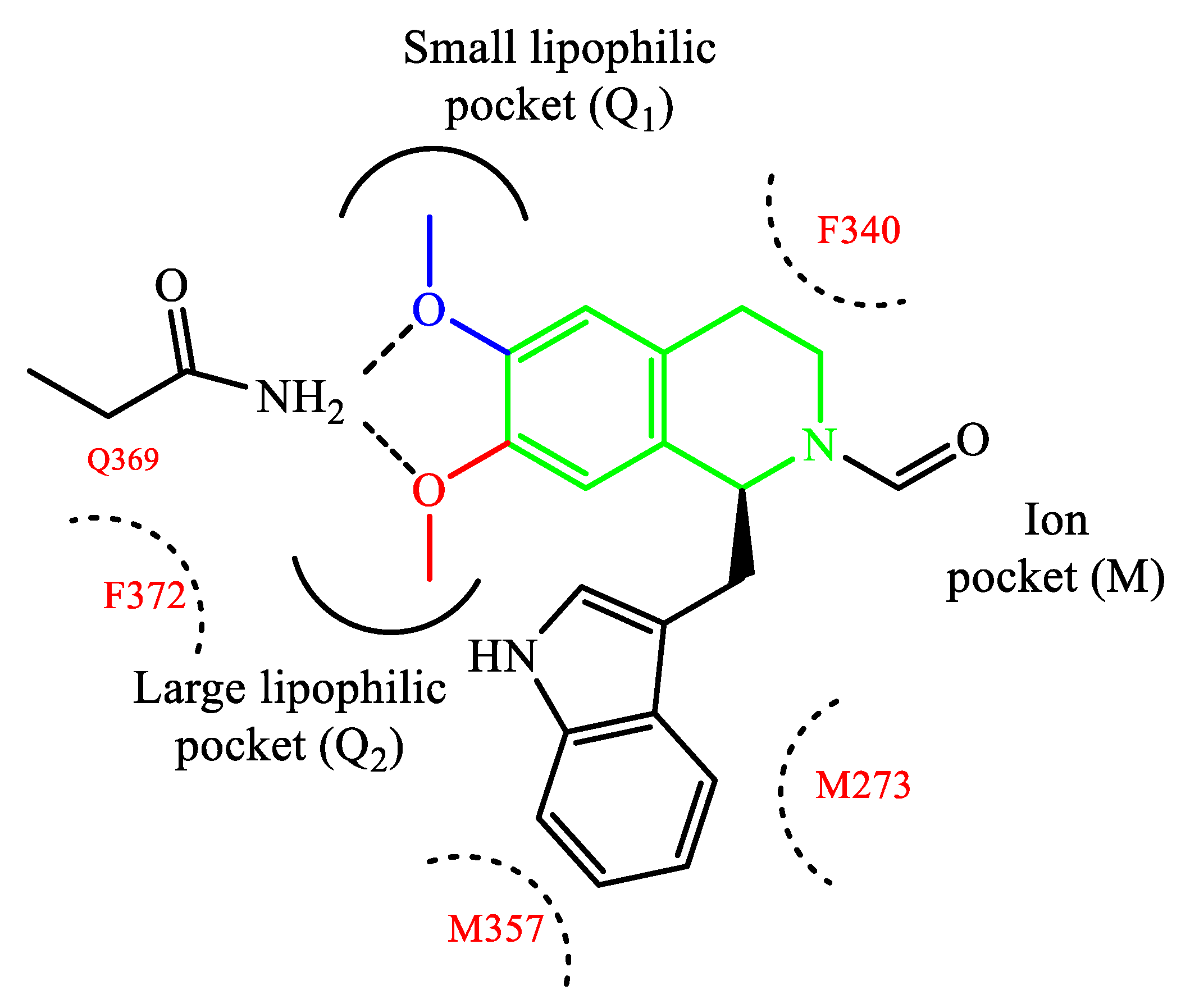 IJMS Free FullText PDE4 Inhibitors Profiling Hits through the