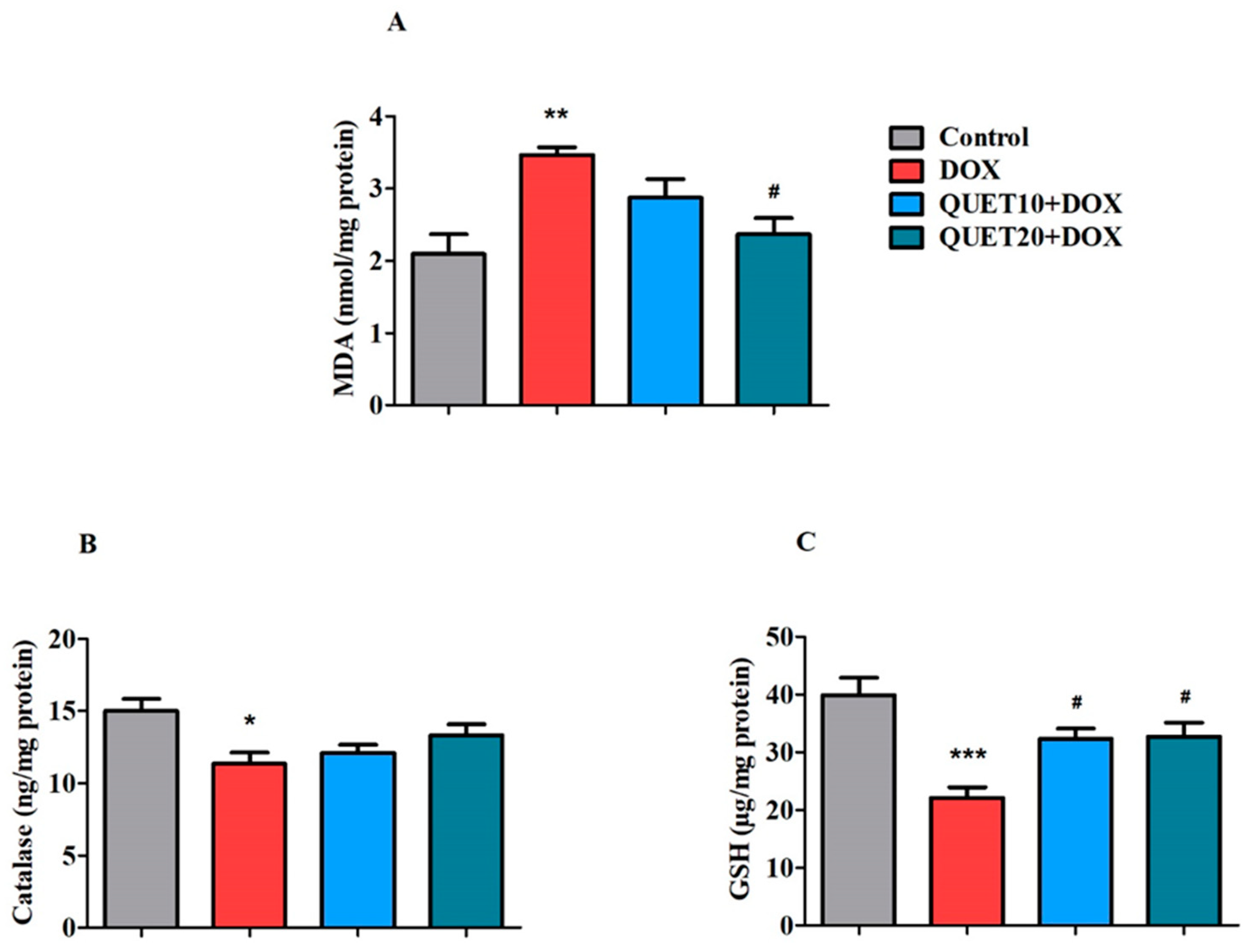 Ijms 24 11525 g004 Ijms 24 11525 g004