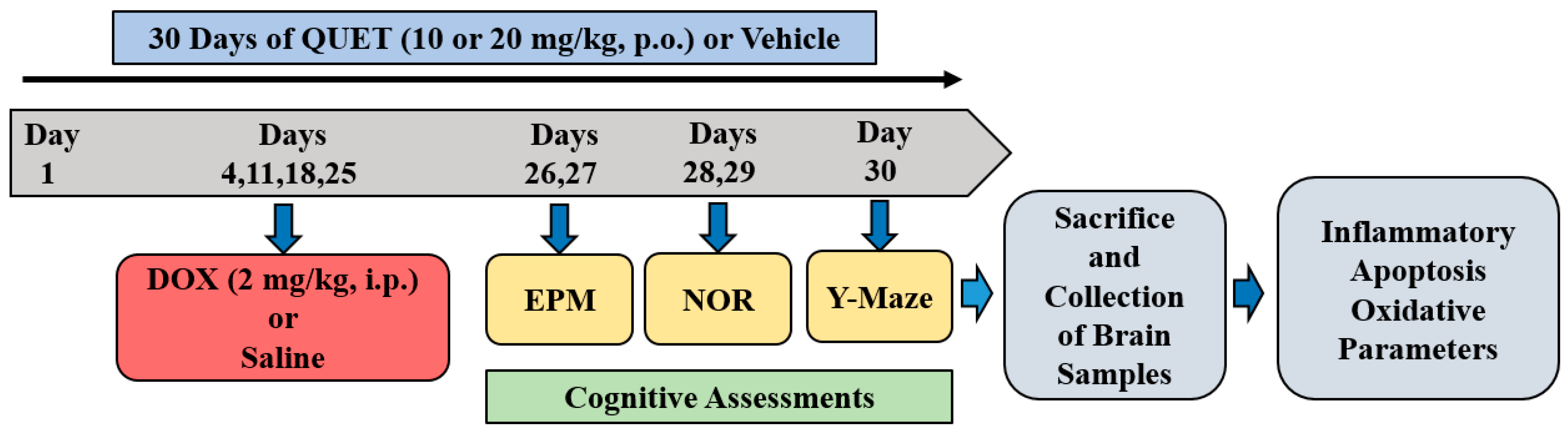 Ijms 24 11525 g007 Ijms 24 11525 g007