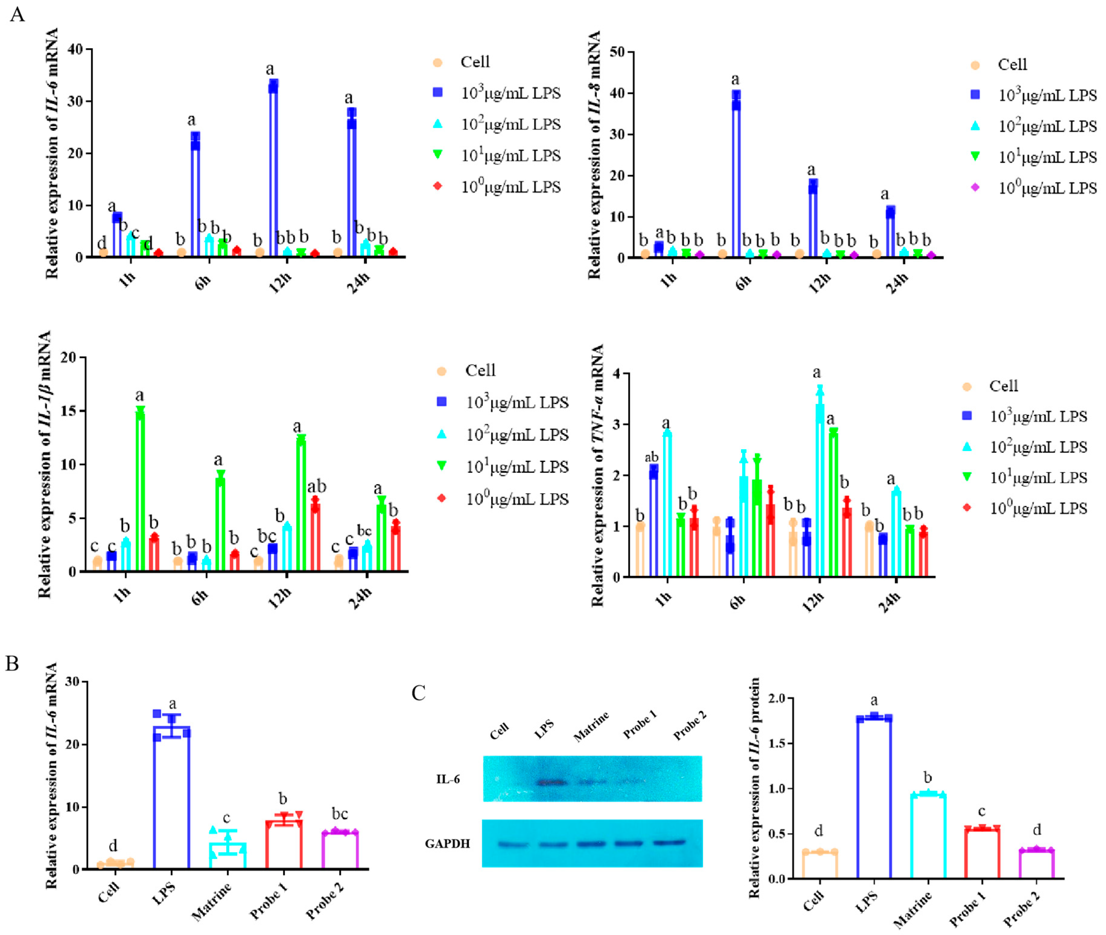 Ijms 24 11526 g003 Ijms 24 11526 g003