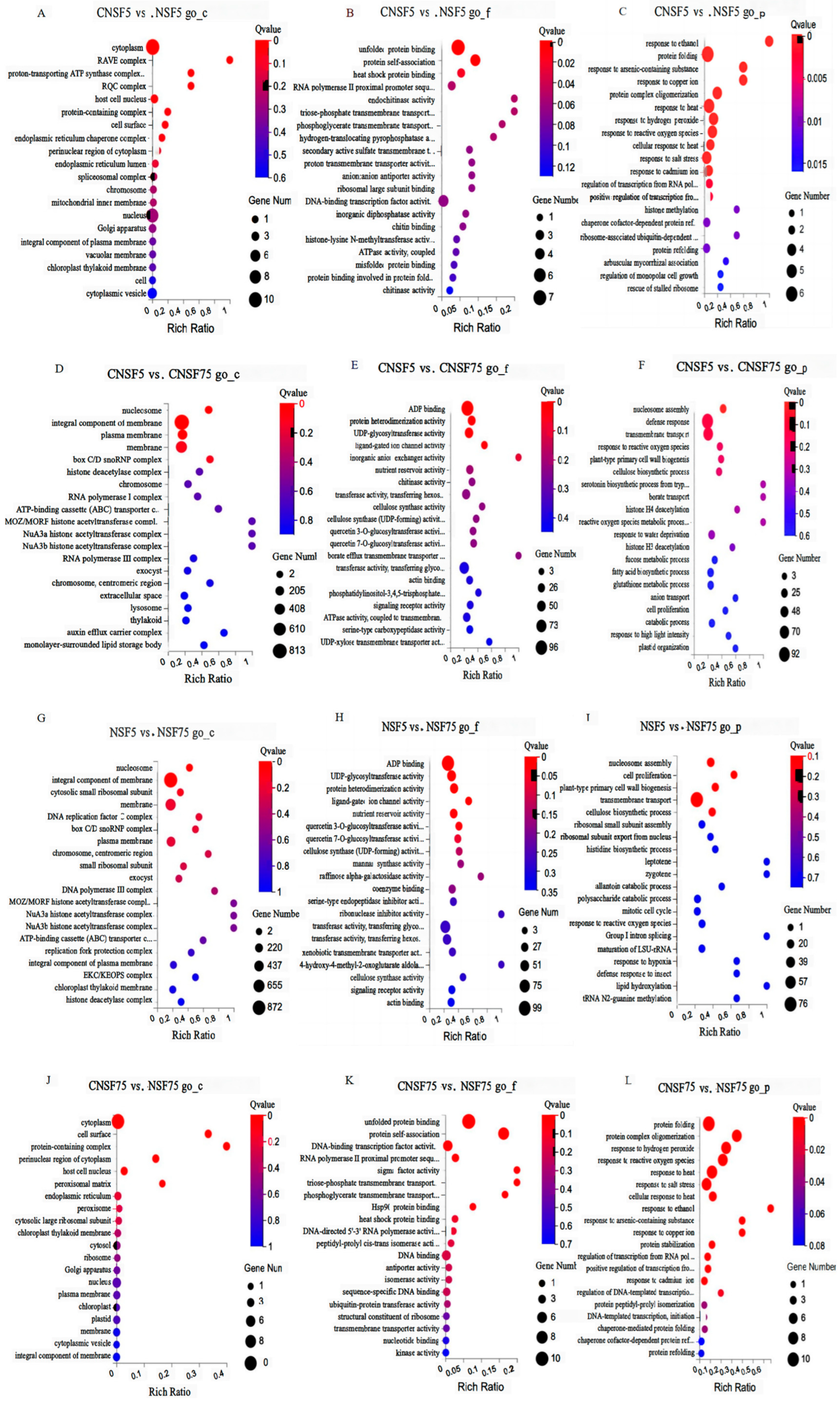 Ijms 24 11527 g003 Ijms 24 11527 g003