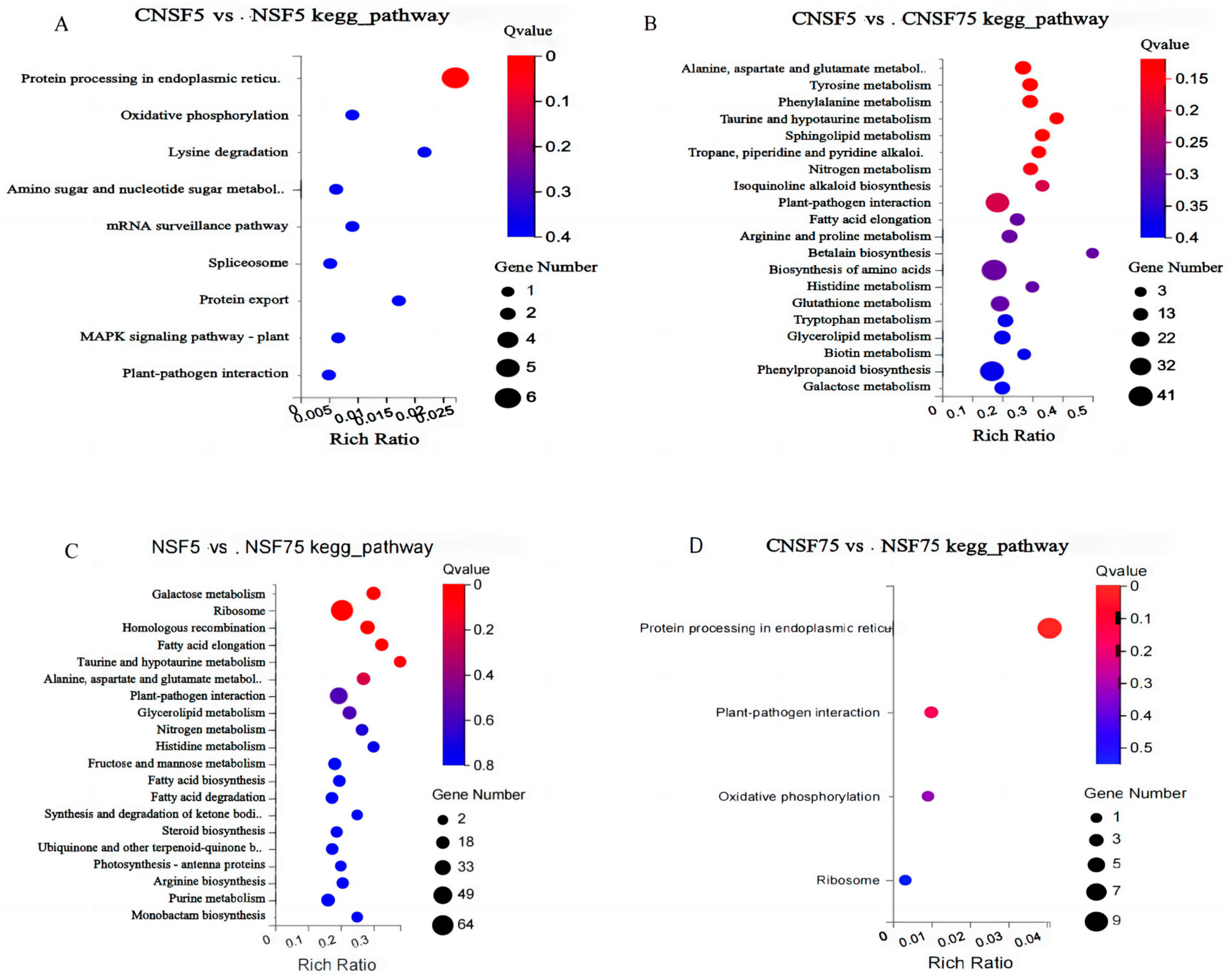 Ijms 24 11527 g004 Ijms 24 11527 g004