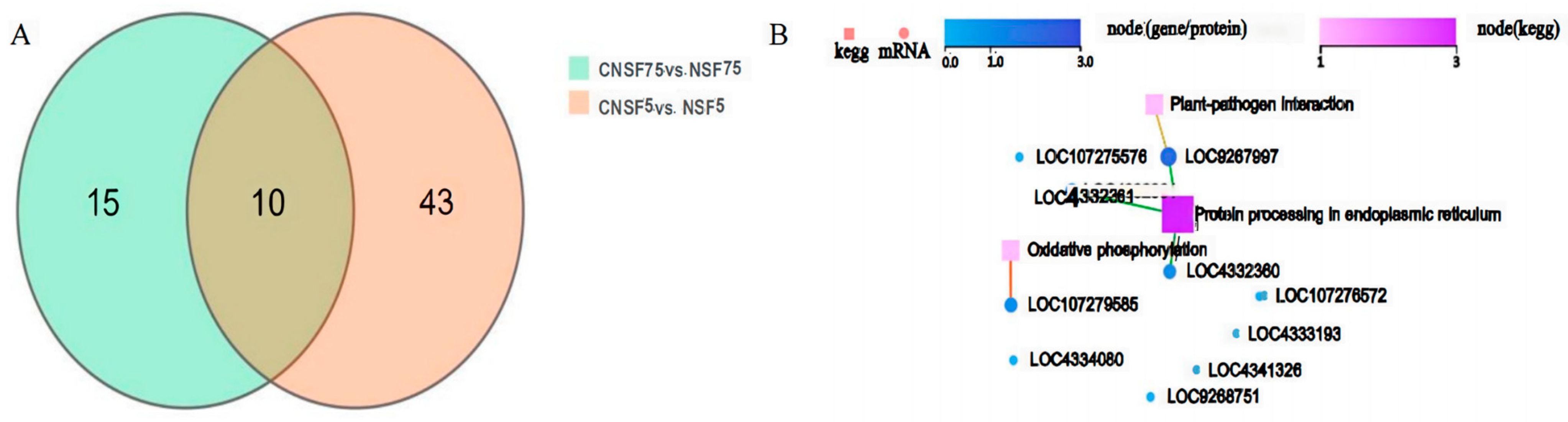 Ijms 24 11527 g005 Ijms 24 11527 g005