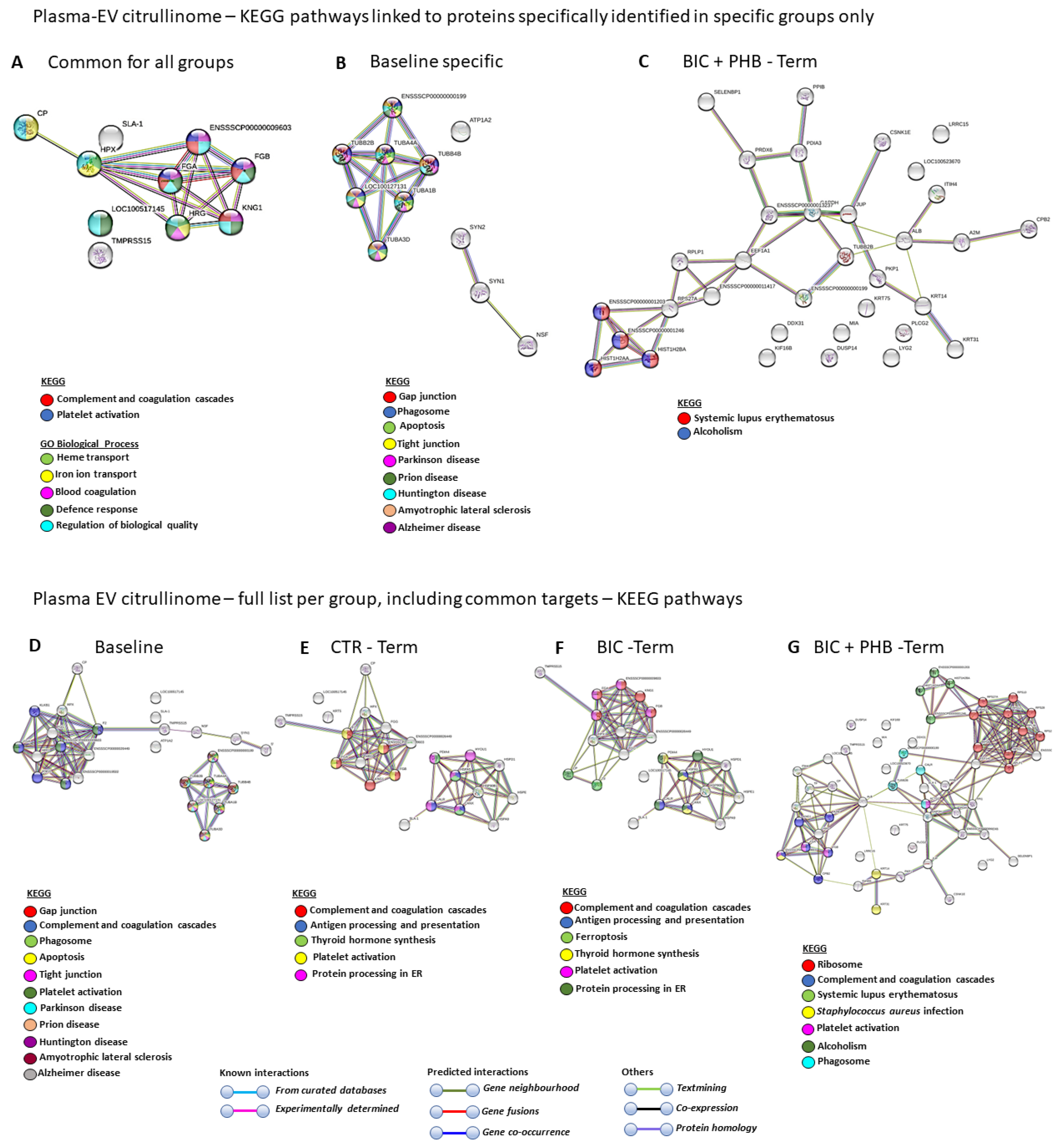 Ijms 24 11529 g006 Ijms 24 11529 g006