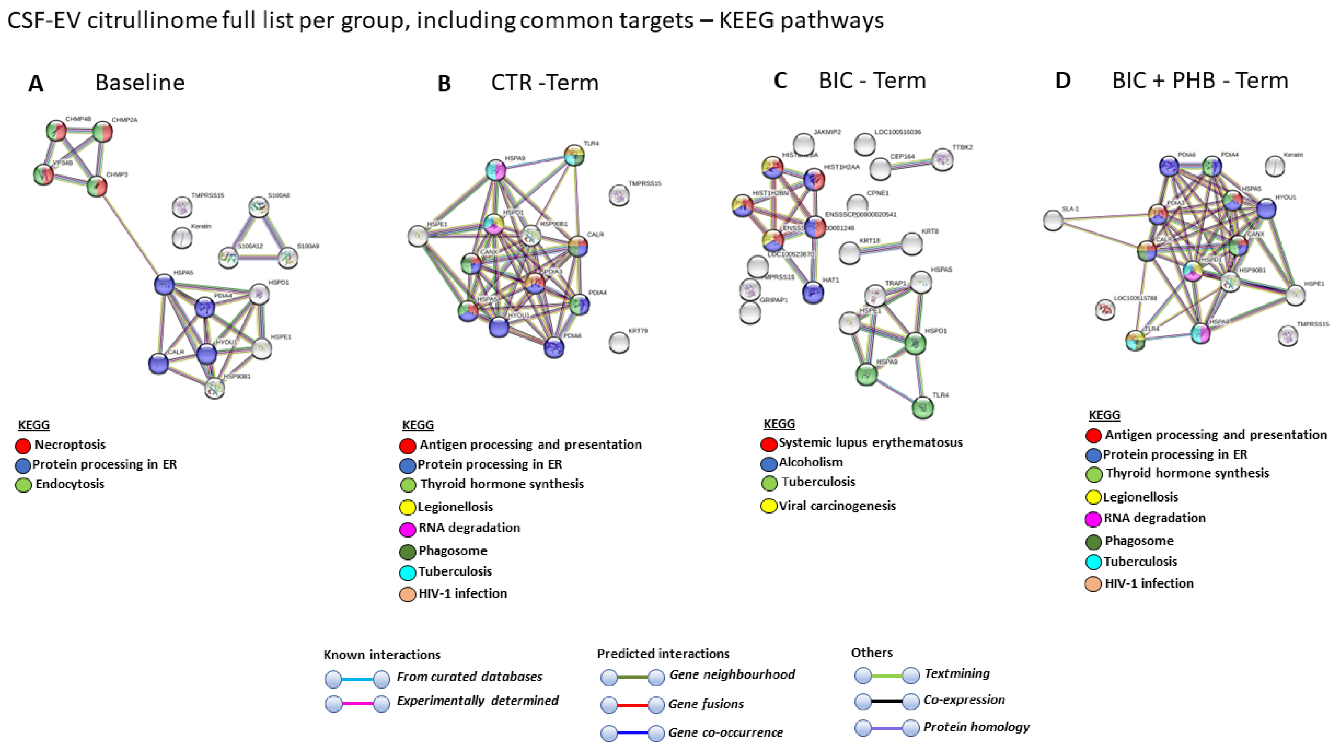 Ijms 24 11529 g007 Ijms 24 11529 g007