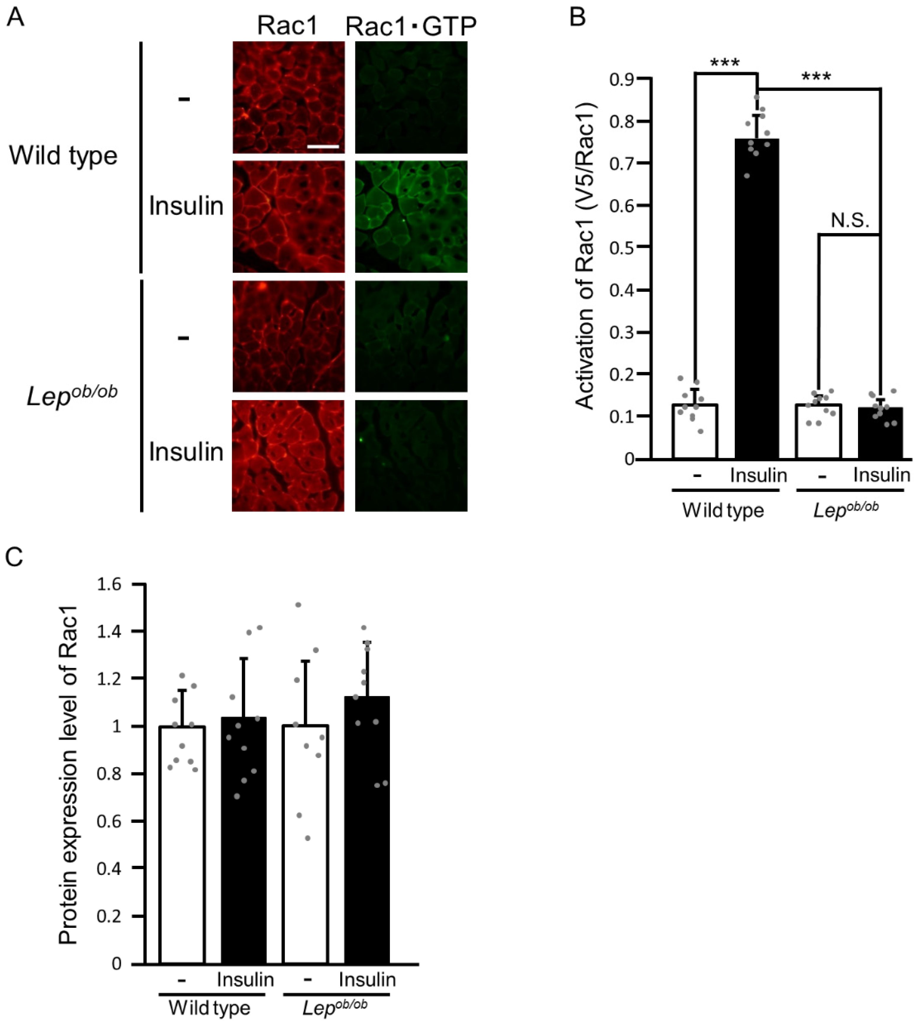 Ijms 24 11531 g002 Ijms 24 11531 g002