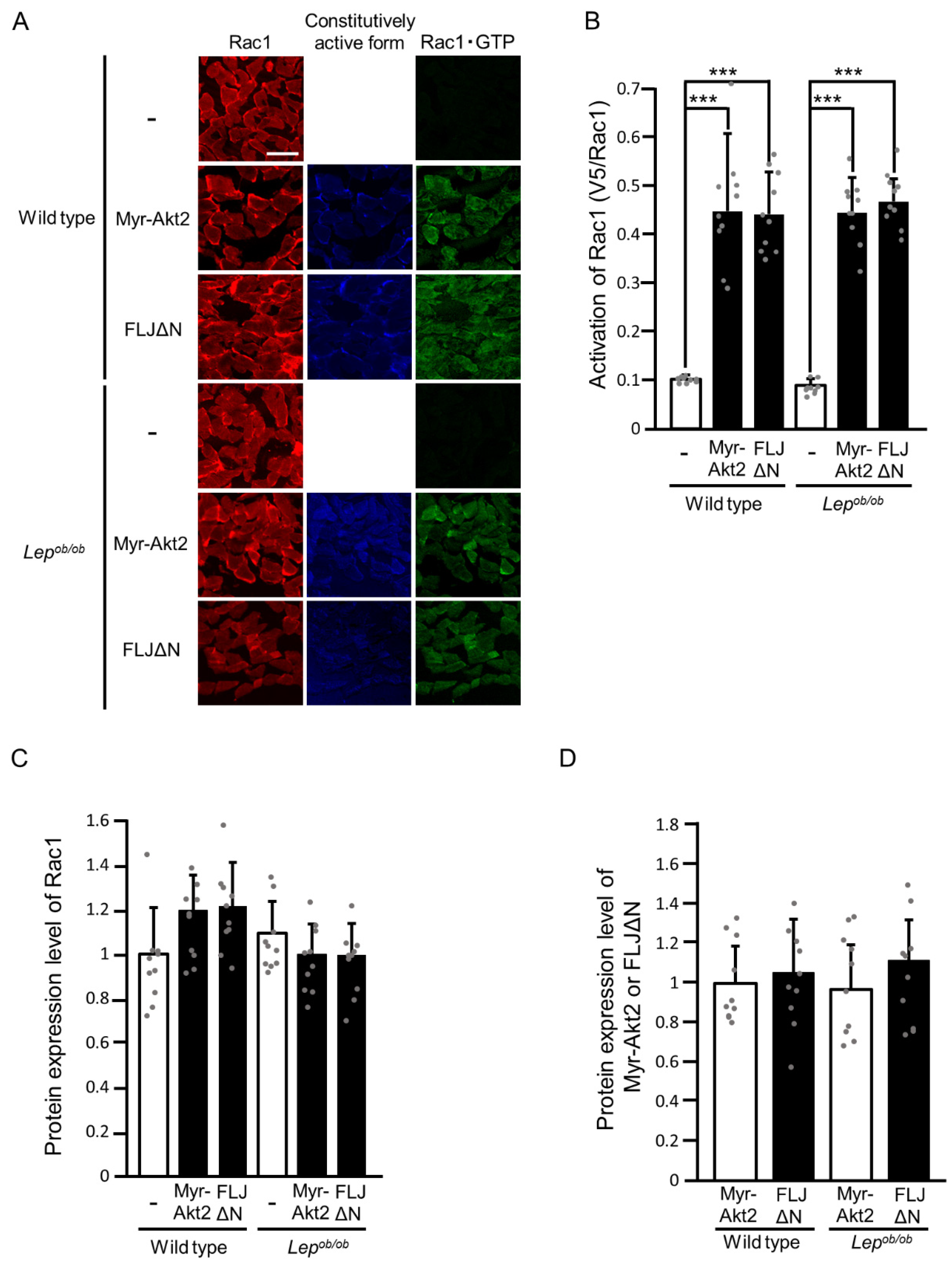 Ijms 24 11531 g004 Ijms 24 11531 g004
