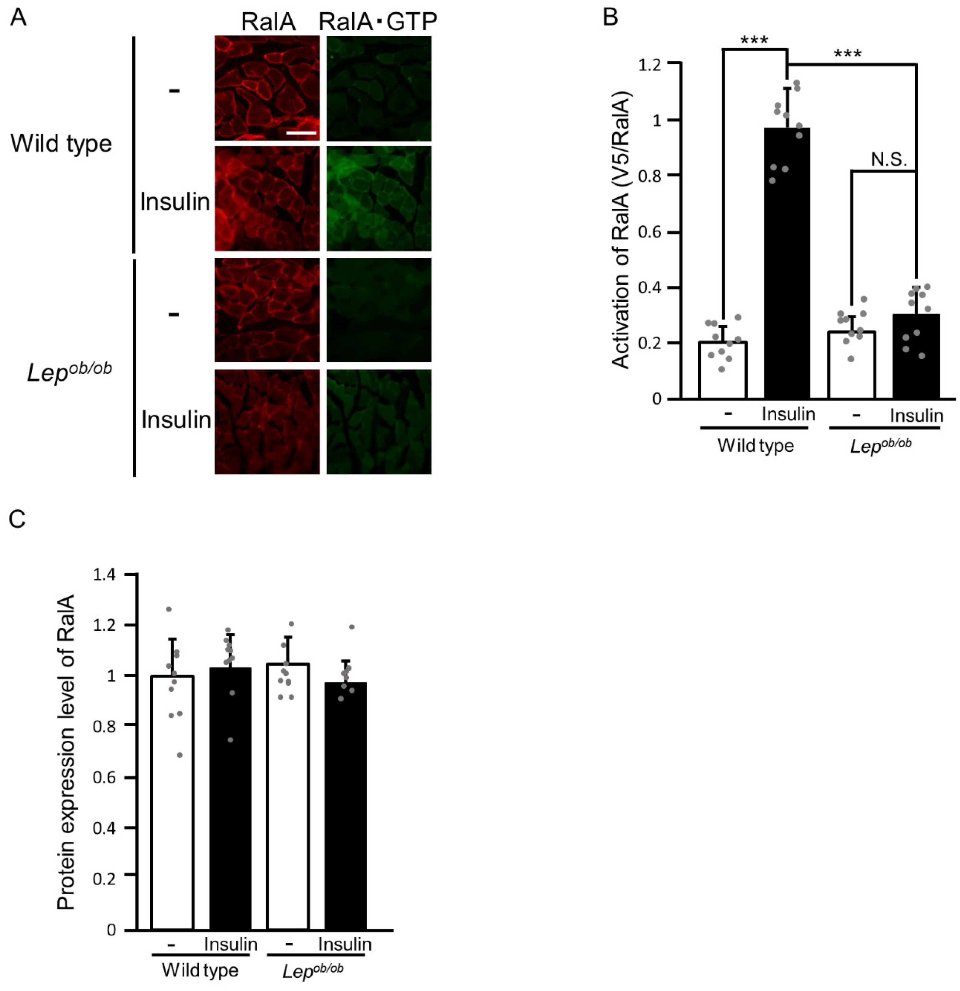 Ijms 24 11531 g006 Ijms 24 11531 g006