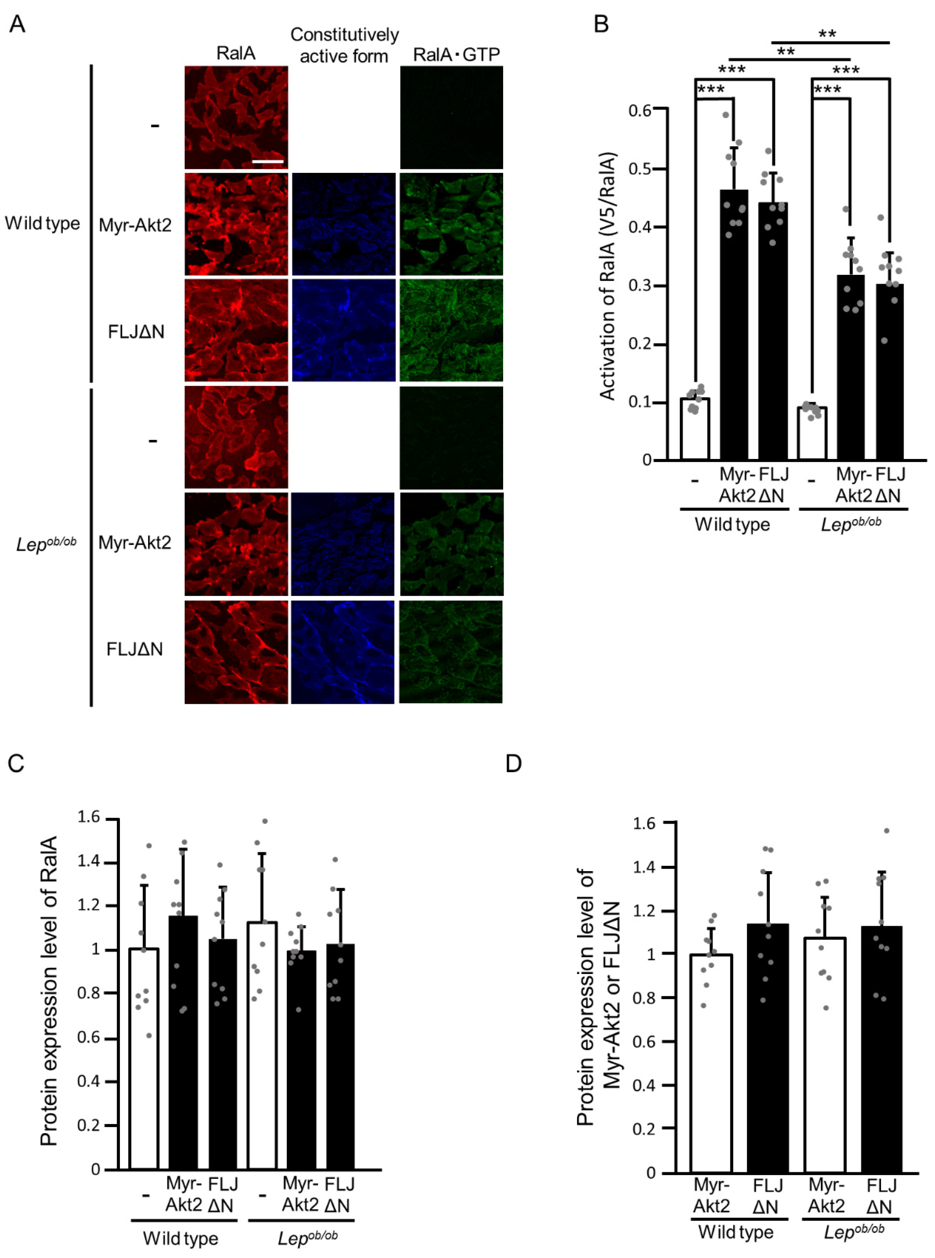 Ijms 24 11531 g007 Ijms 24 11531 g007