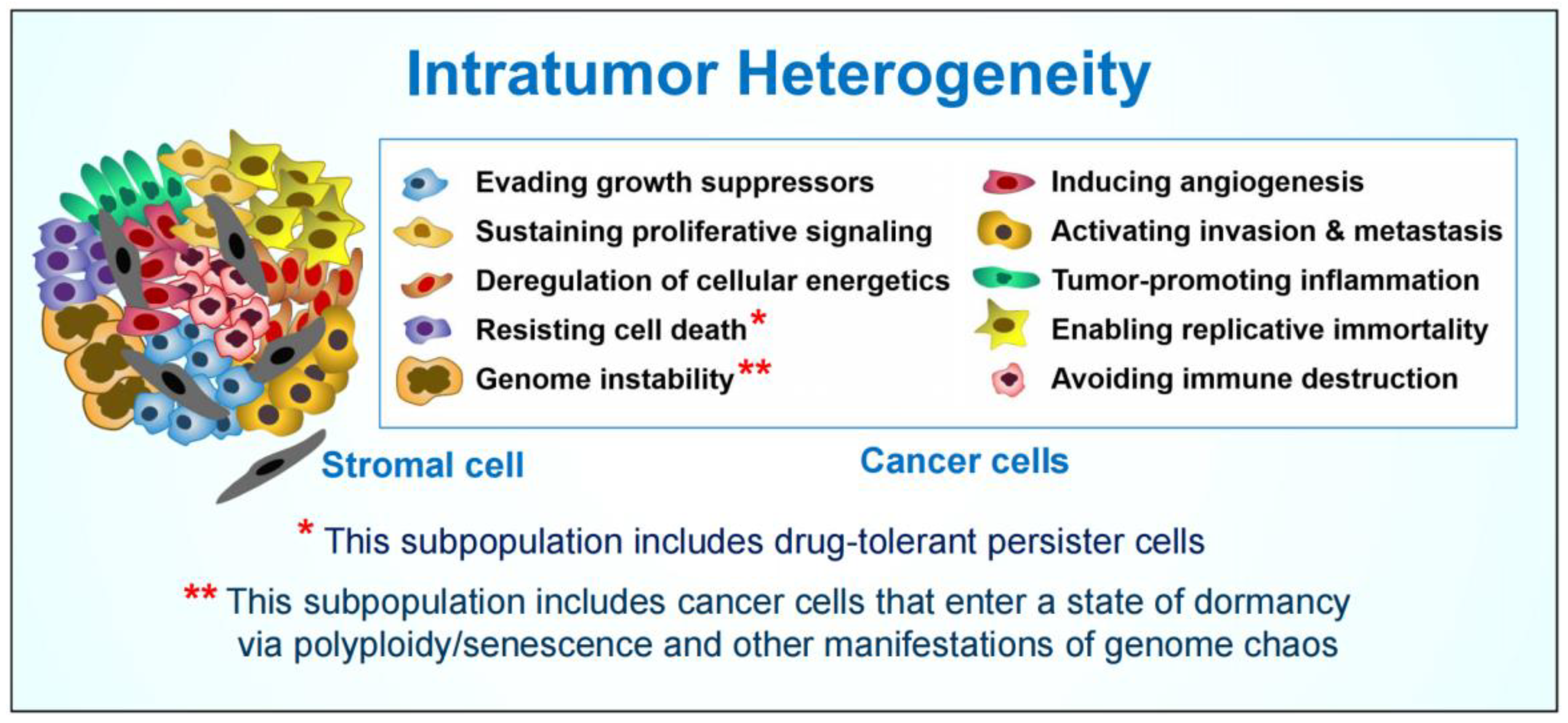 Intratumor Heterogeneity and Treatment Resistance of Solid Intratumor Heterogeneity and Treatment Resistance of Solid