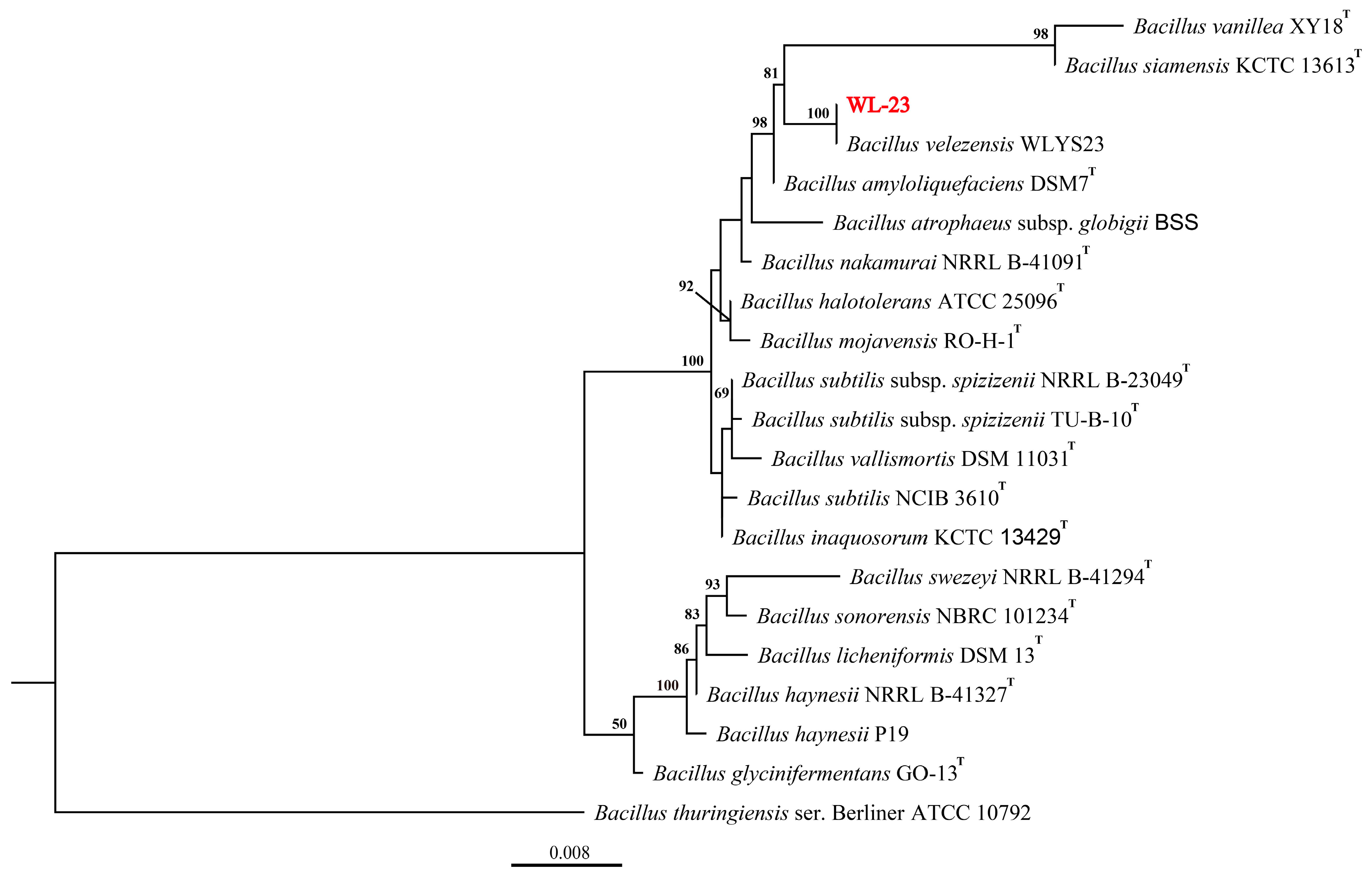 Ijms 24 11541 g001 Ijms 24 11541 g001