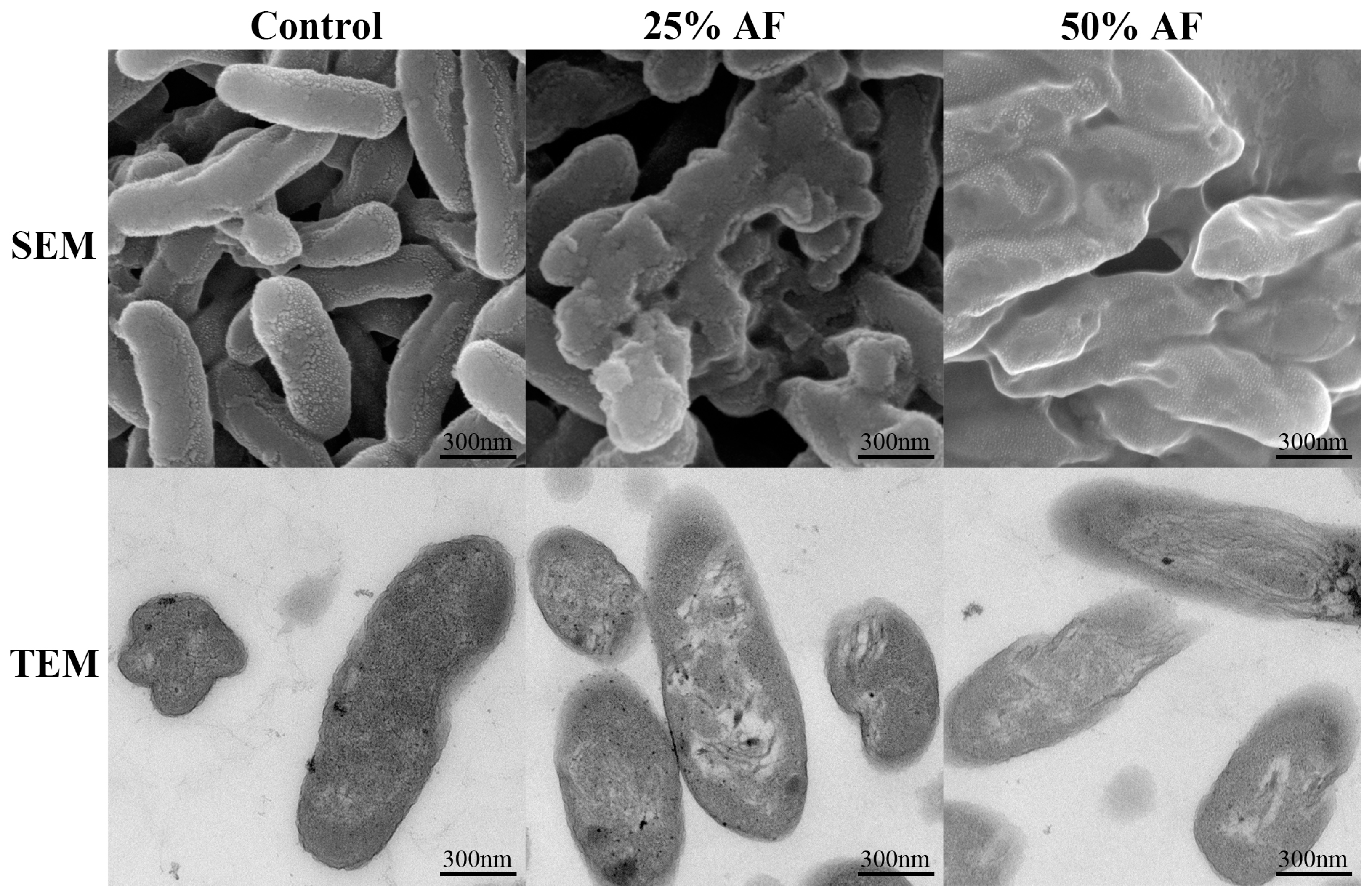 Ijms 24 11541 g004 Ijms 24 11541 g004