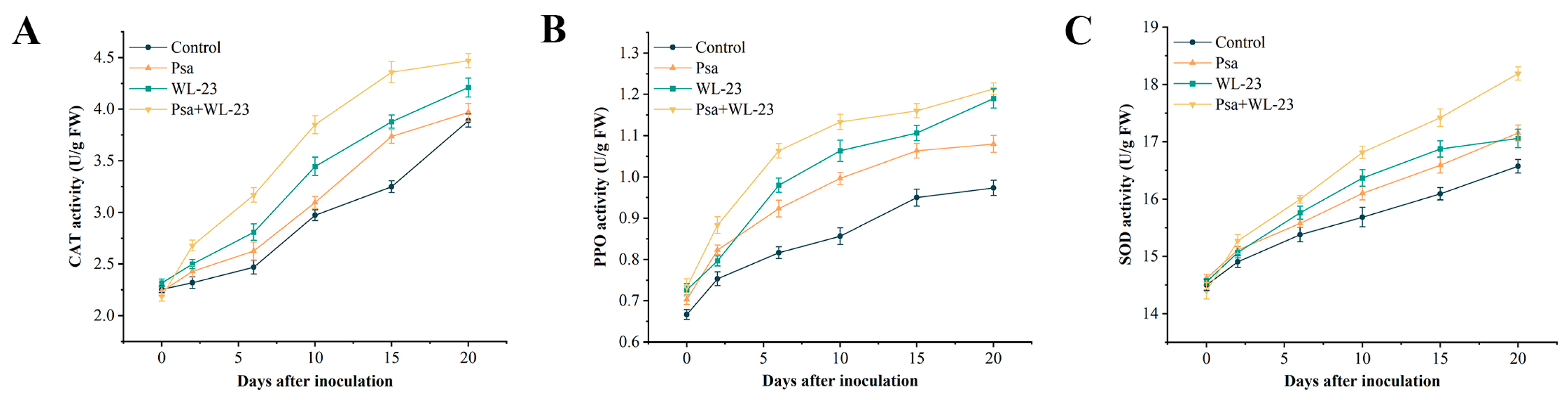 Ijms 24 11541 g005 Ijms 24 11541 g005
