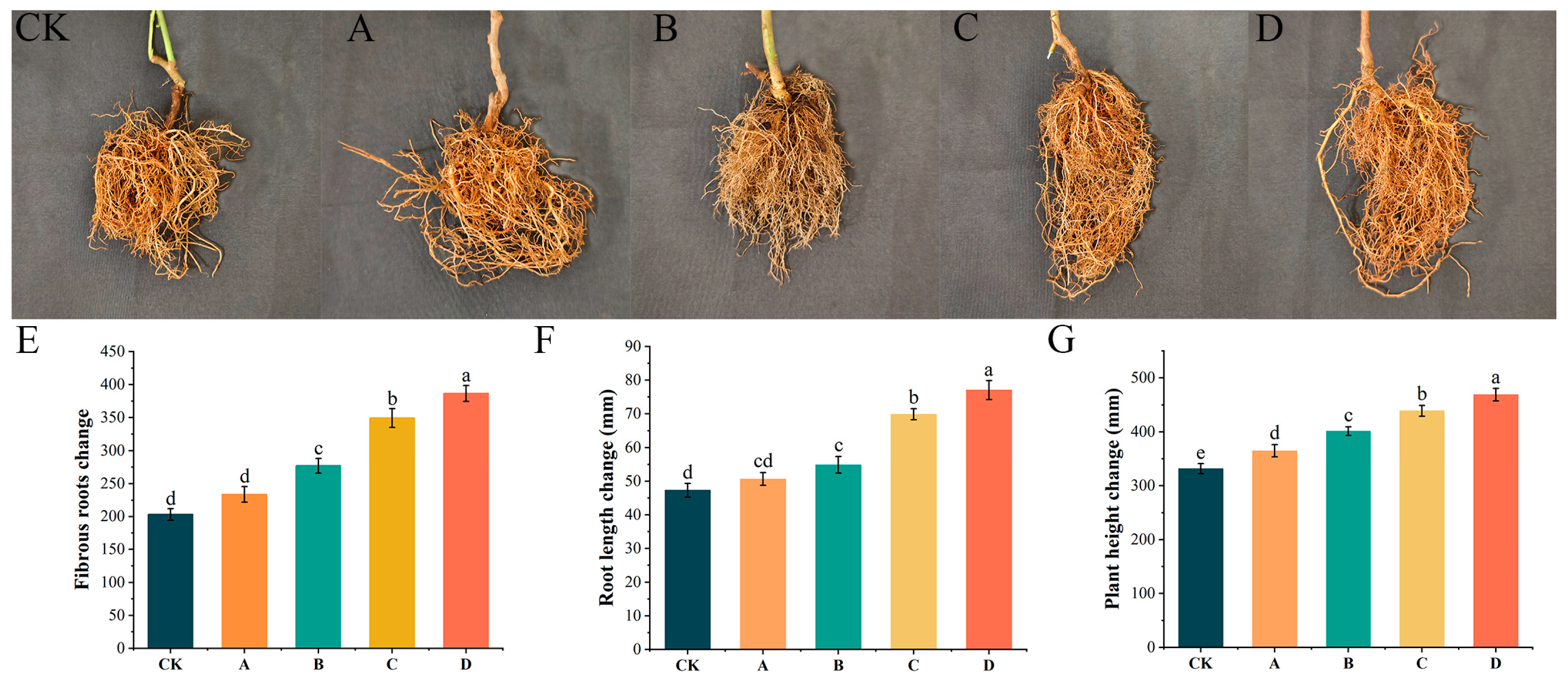 Ijms 24 11541 g006 Ijms 24 11541 g006