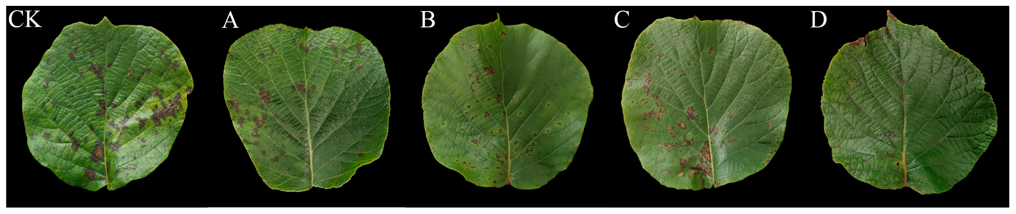 Ijms 24 11541 g007 Ijms 24 11541 g007