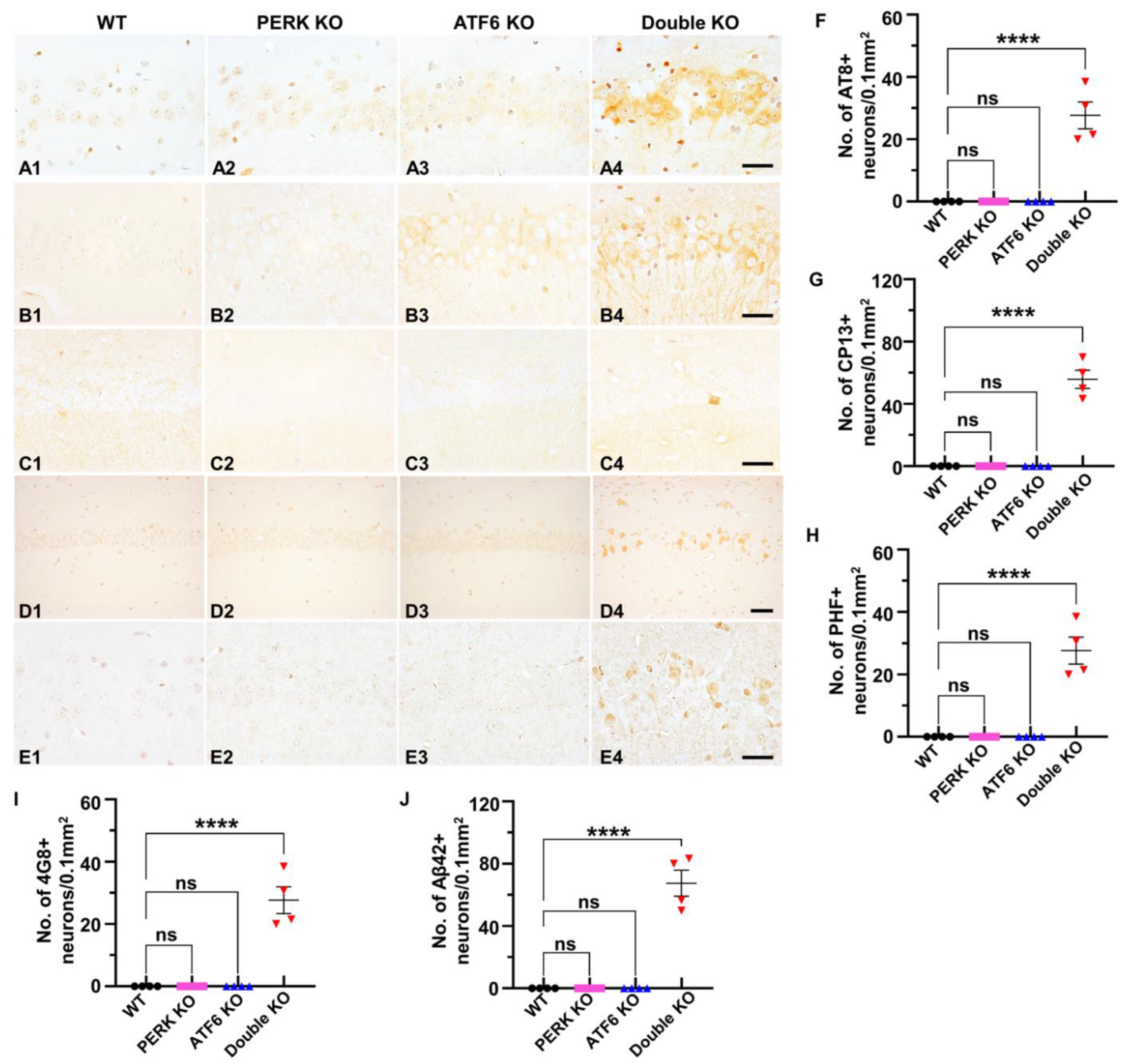 Ijms 24 11542 g006 Ijms 24 11542 g006