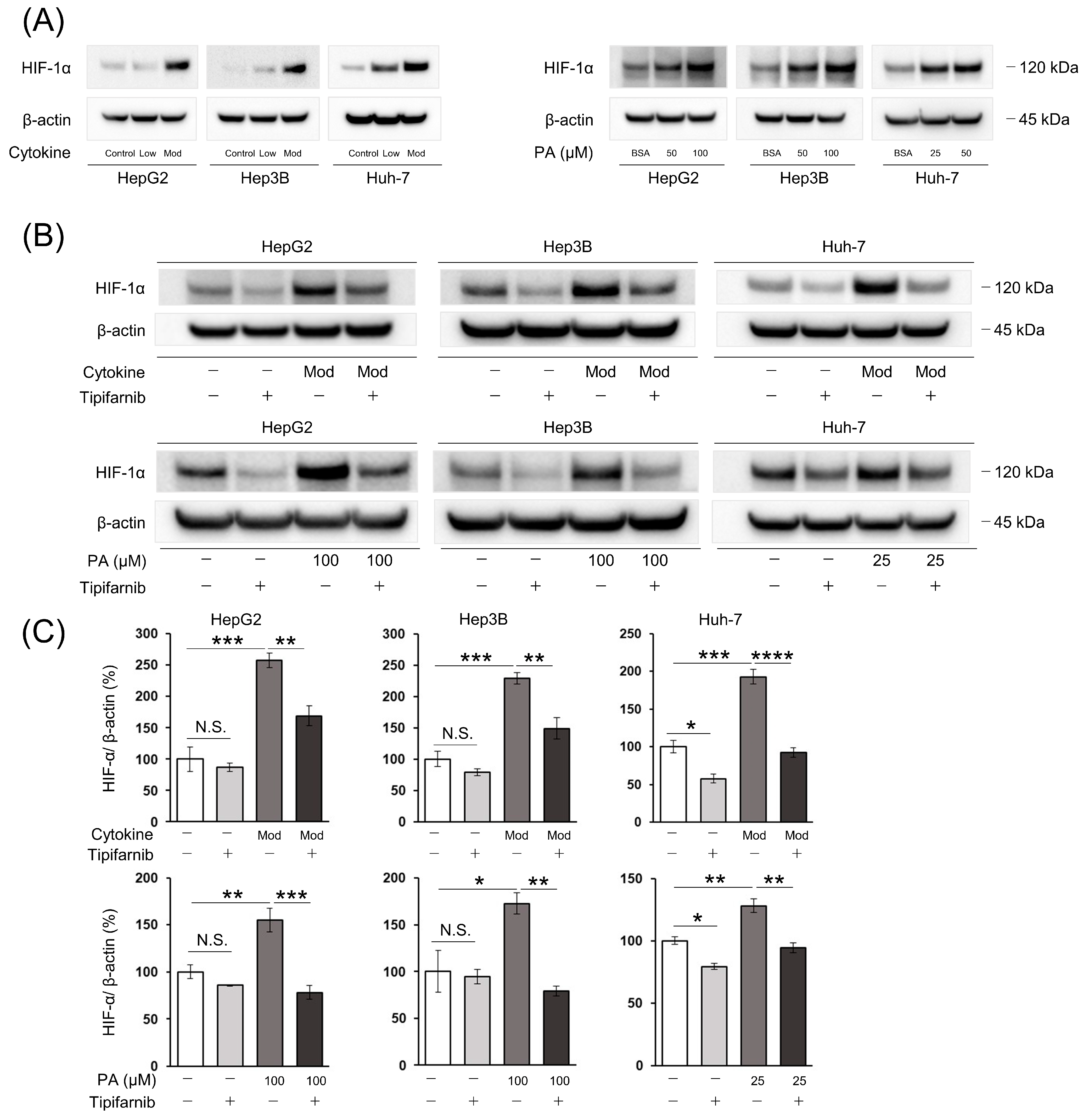 Ijms 24 11546 g002 Ijms 24 11546 g002