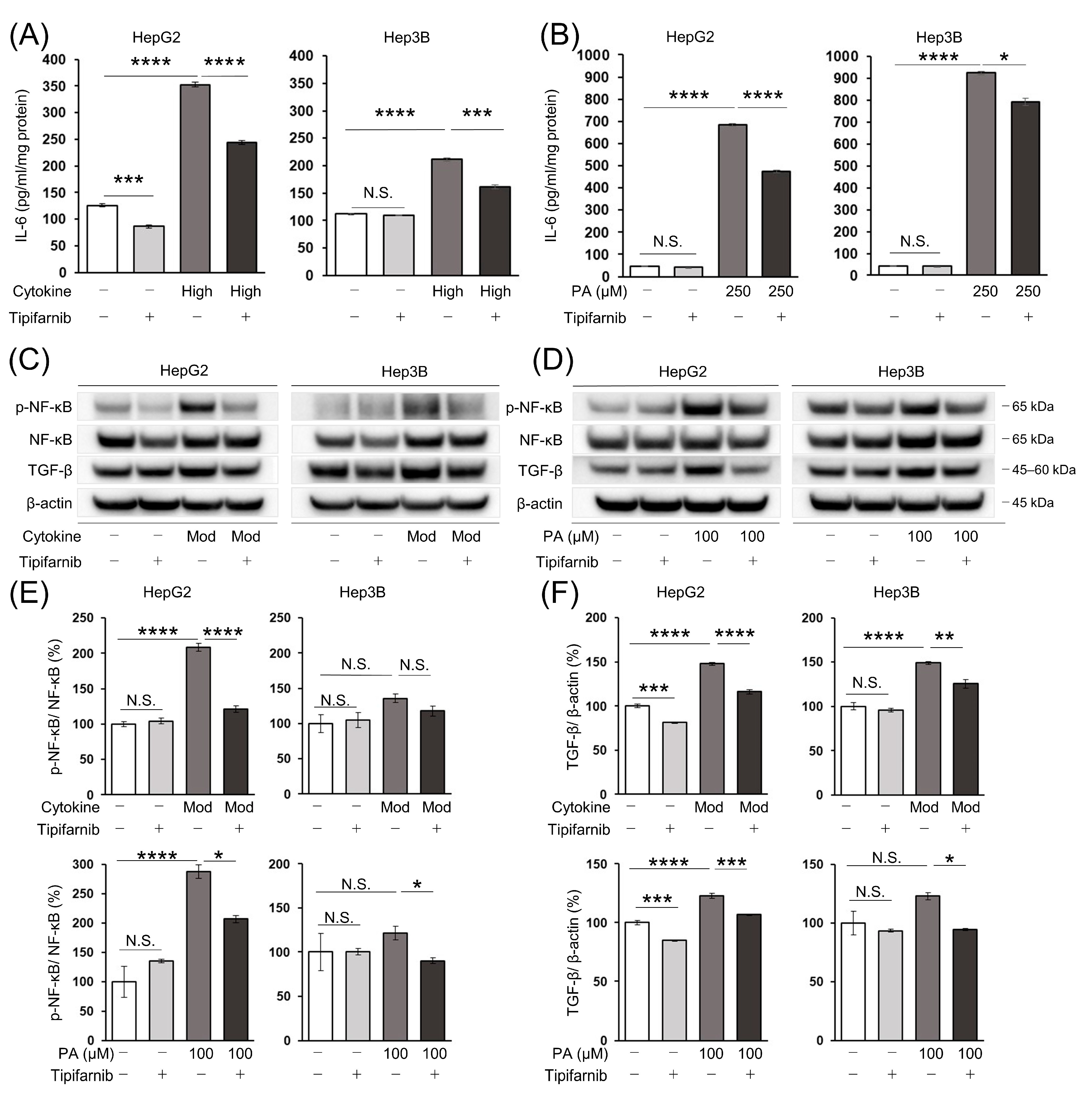 Ijms 24 11546 g006 Ijms 24 11546 g006