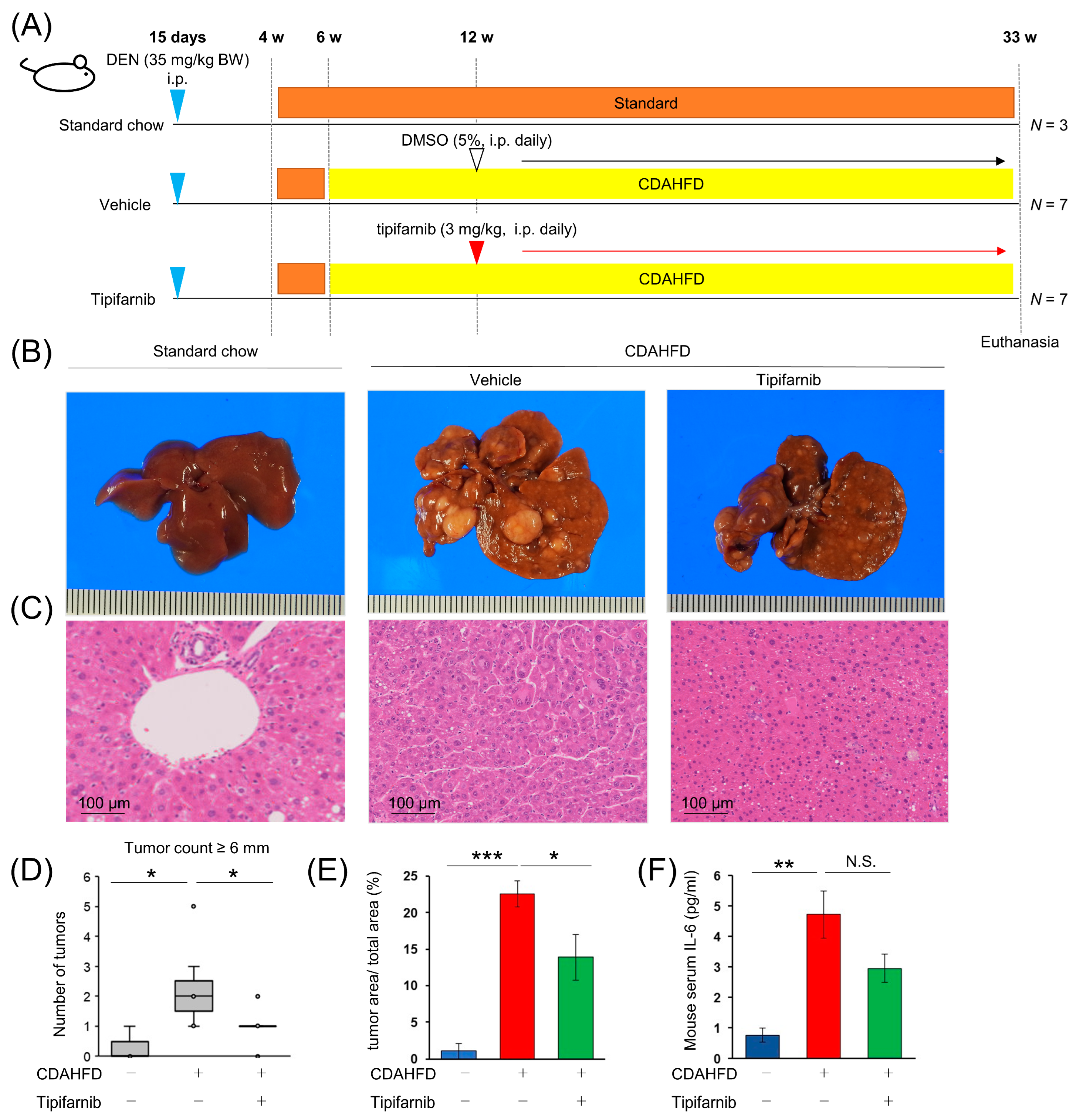 Ijms 24 11546 g007 Ijms 24 11546 g007