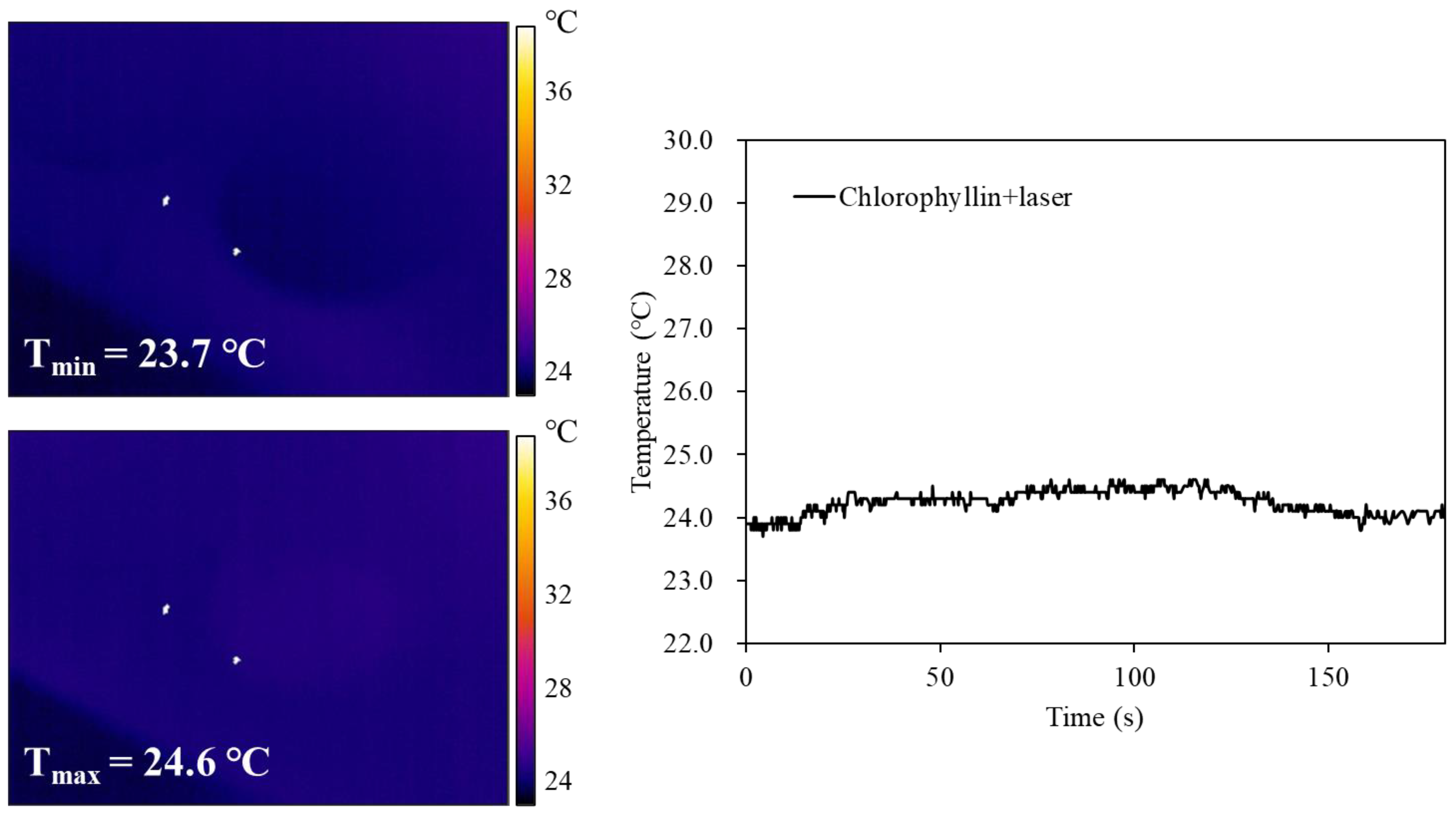 Ijms 24 11565 g005 Ijms 24 11565 g005