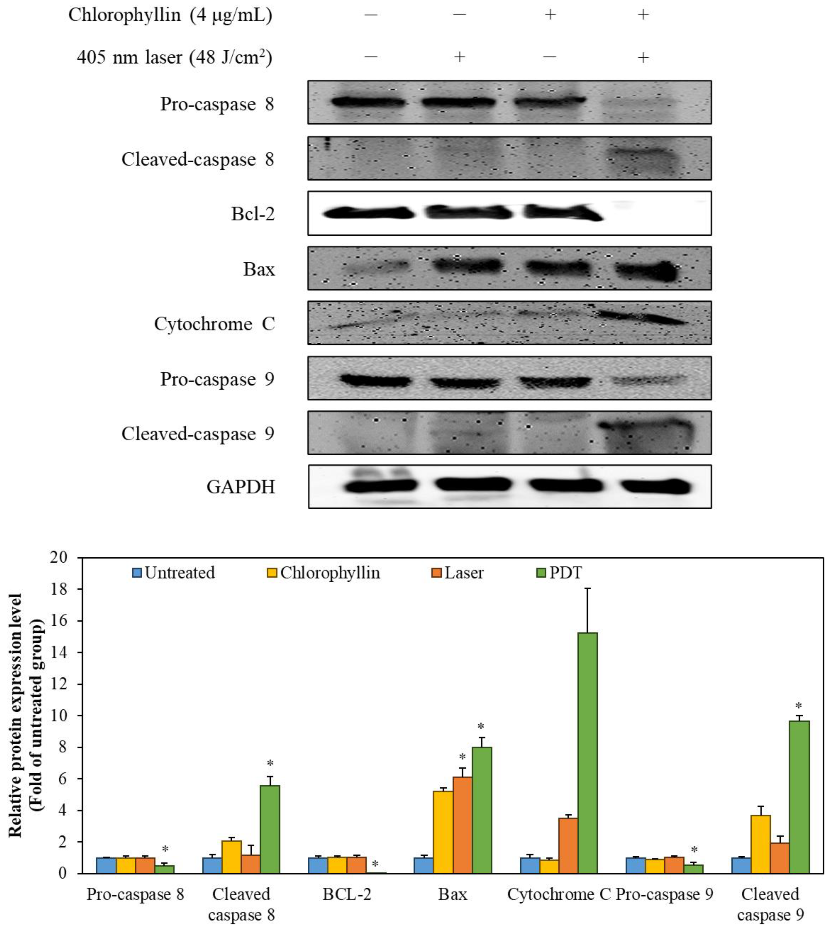 Ijms 24 11565 g007 Ijms 24 11565 g007